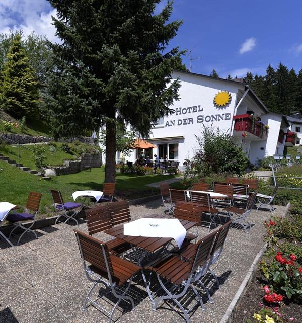 Фото Hotel an der Sonne