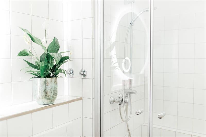 Фото Denner Hotel