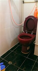 Фото Nathan House