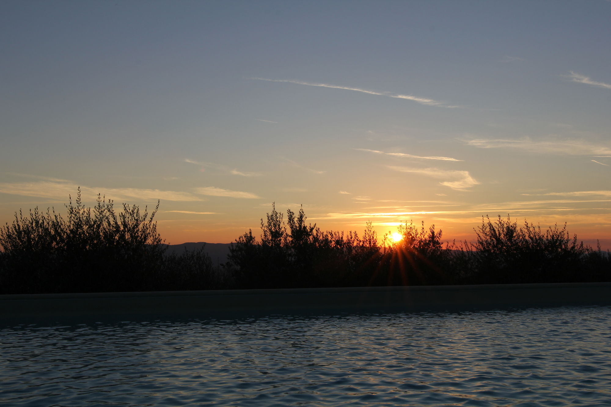 Фото La Quercetta