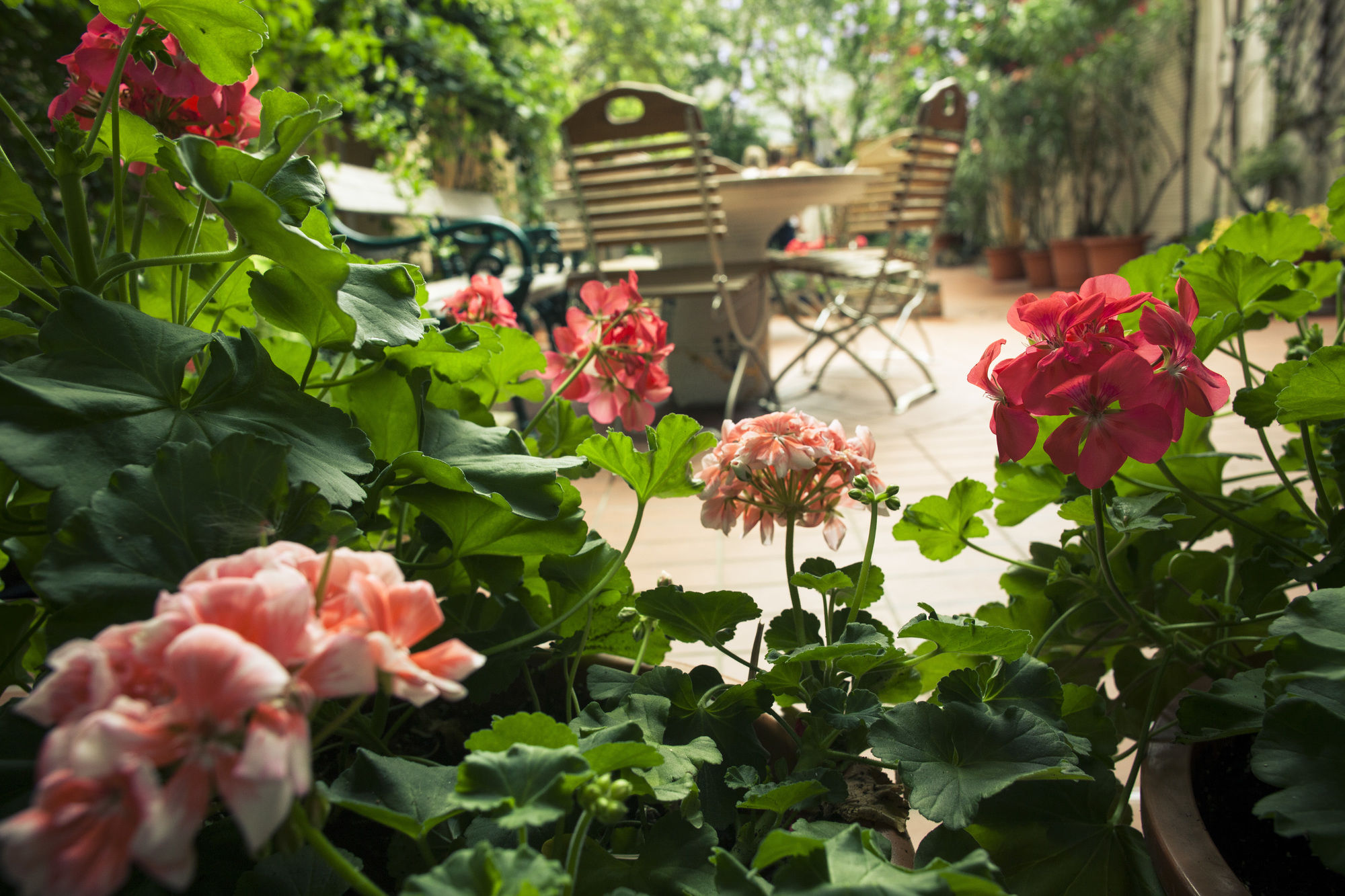 Фото Hostel Ruthensteiner