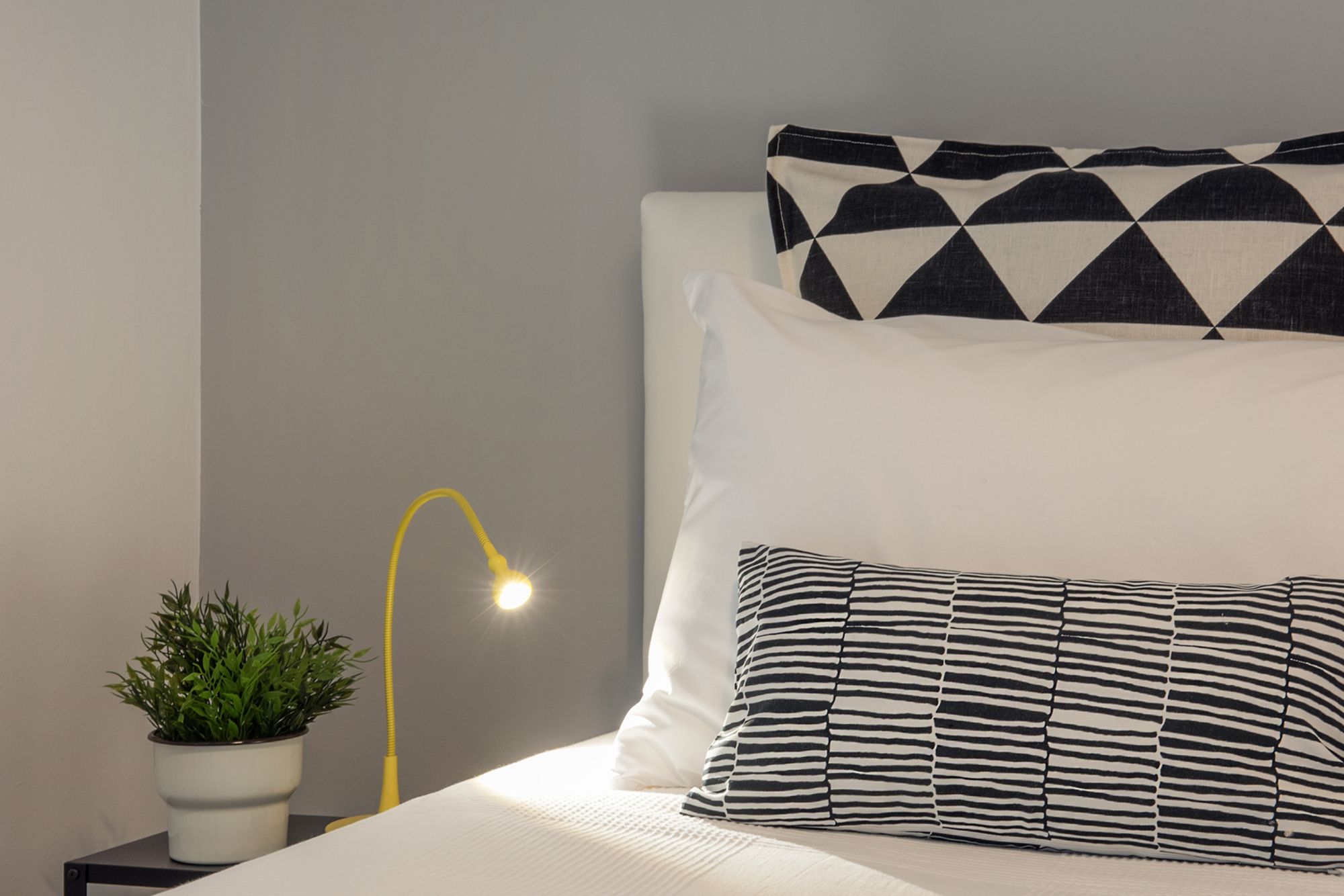 Фото Oki Doki Studios