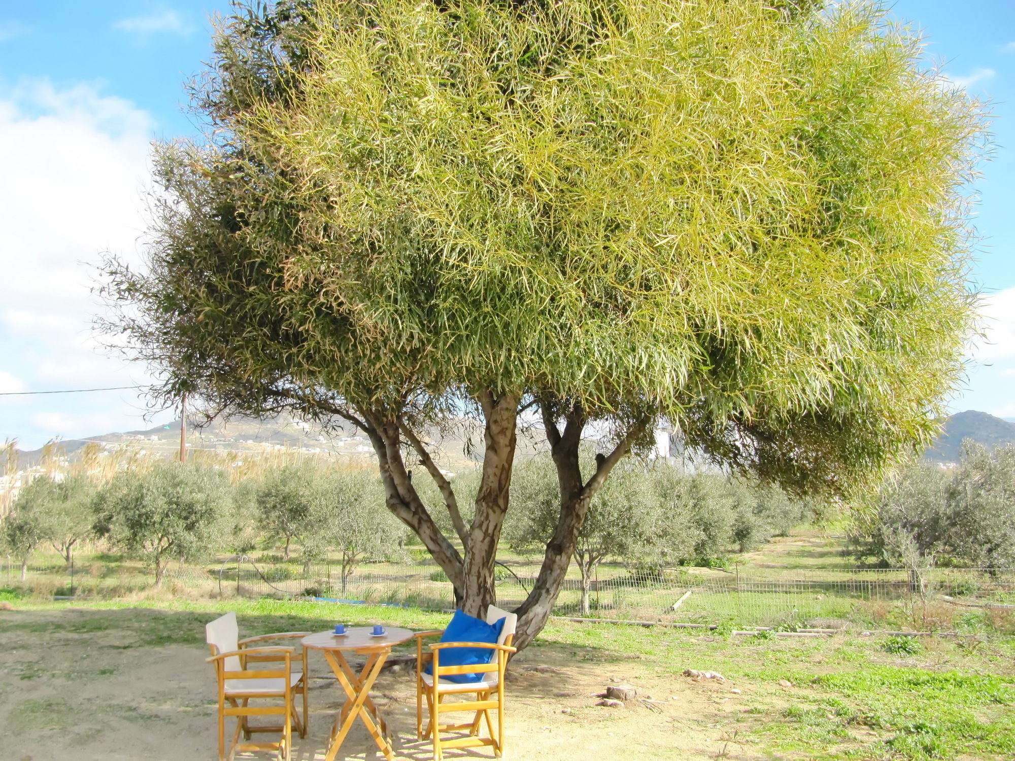 Фото Ktima Bianco