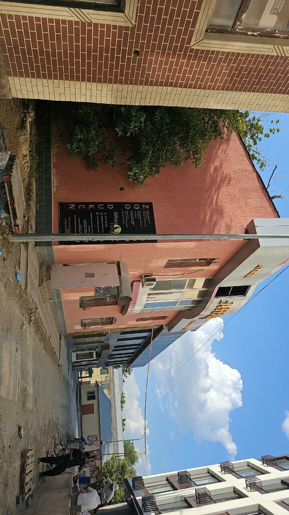 Flour and grains Пионер, Chimkent, photo