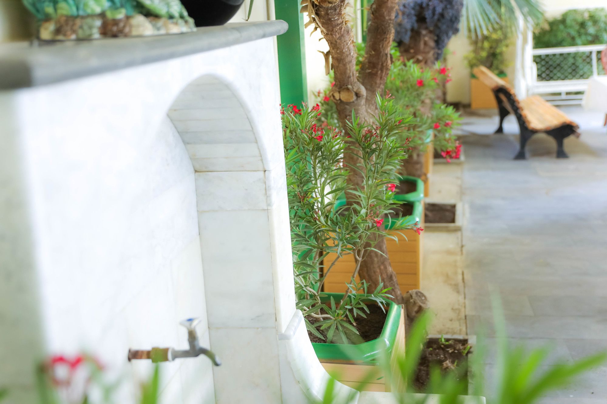 Фото Vedzisi garden hotel