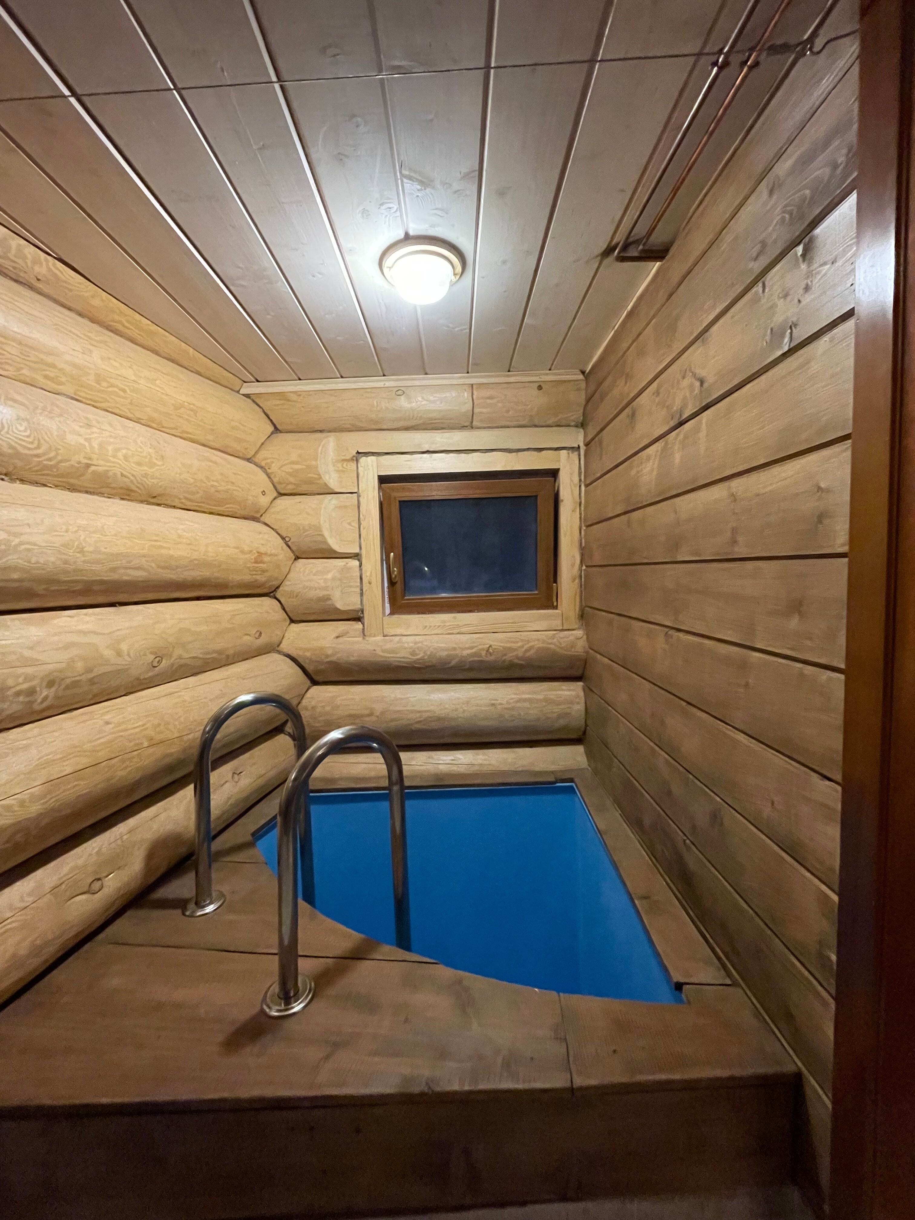 Фото Вырицкий мамонт