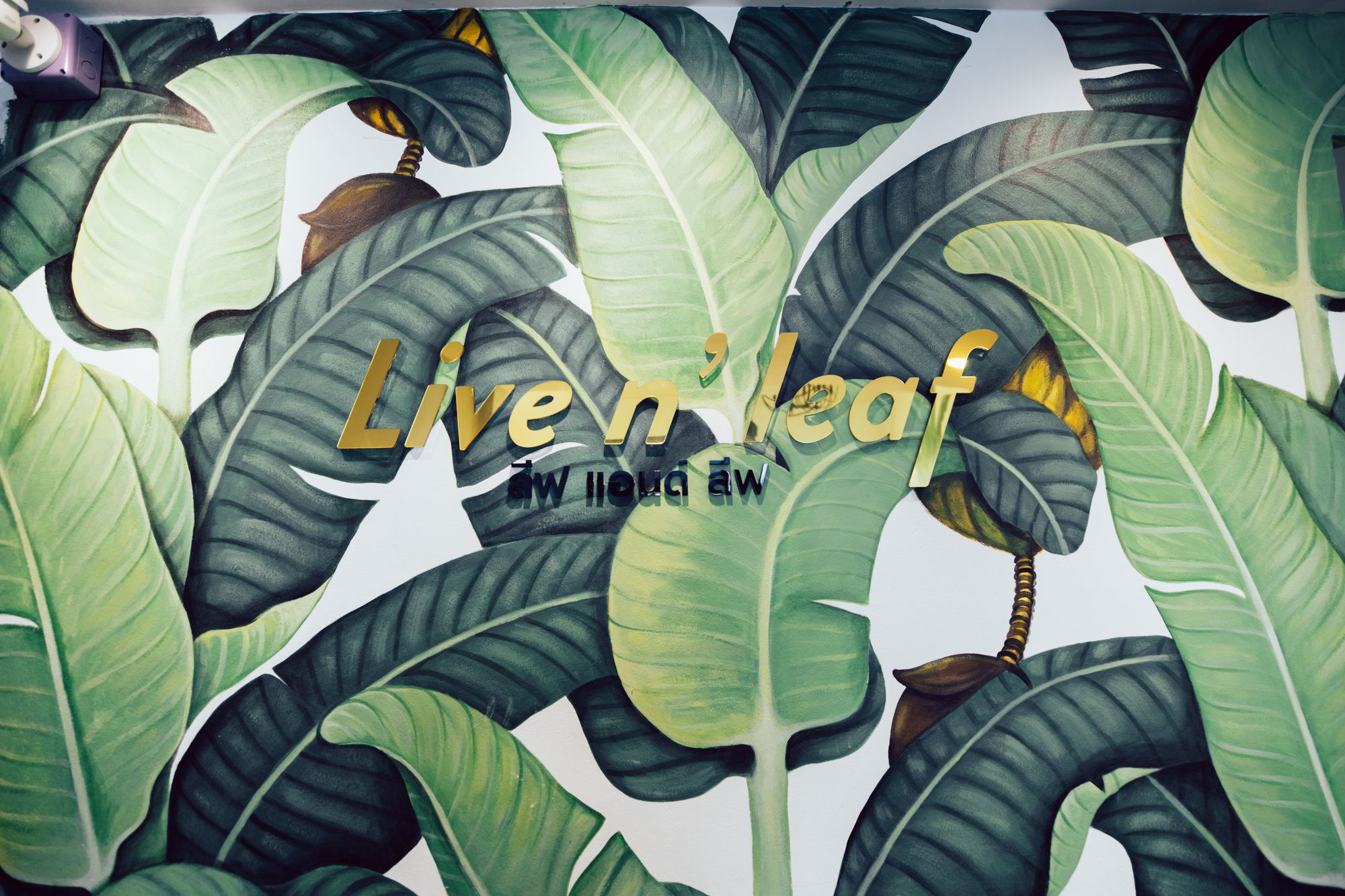 Фото Live n Leaf Lifestyle Homestay