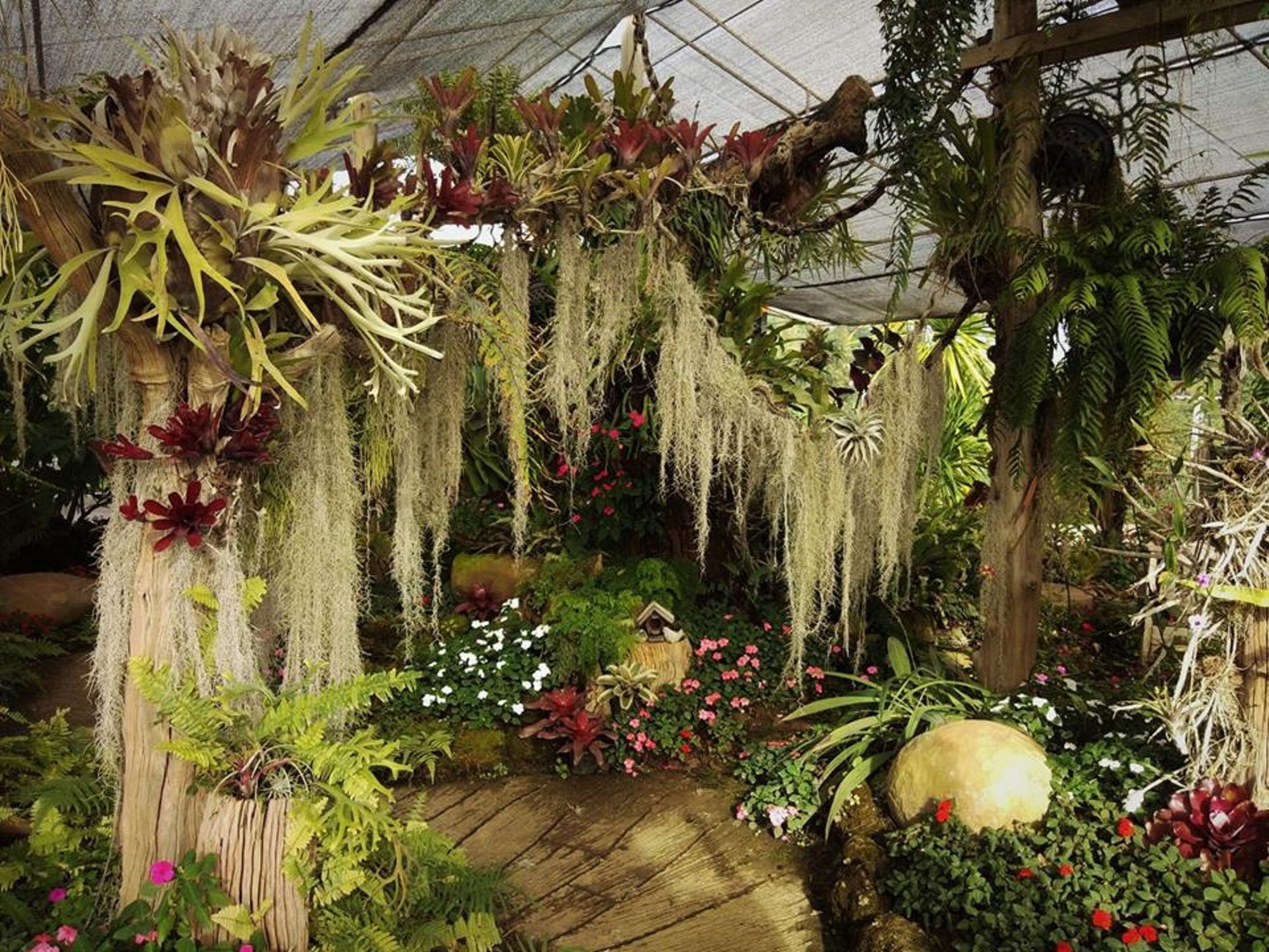 Фото Silathong Coffee and Flower