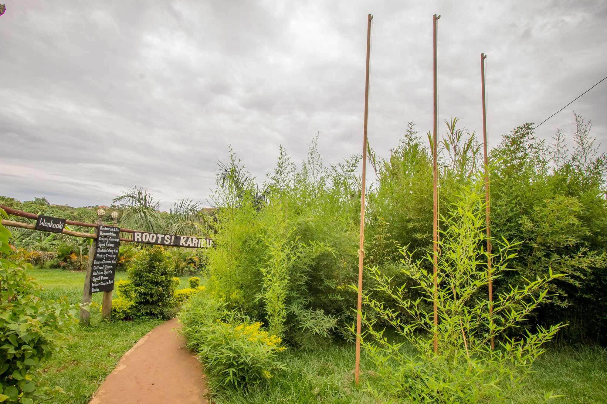 Фото Roots Retreat and Camping Resort