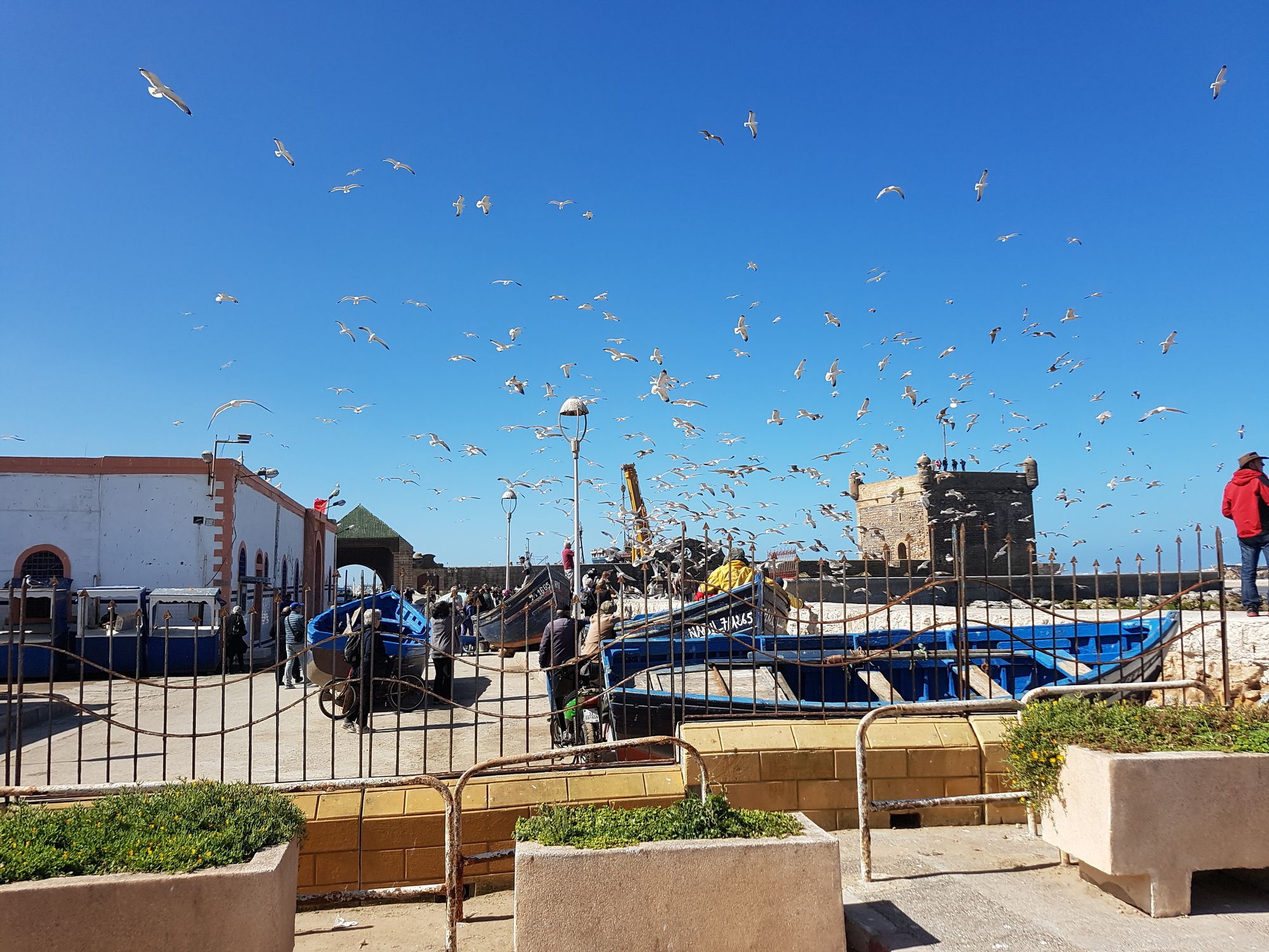 Фото Riad Sidi Magdoul