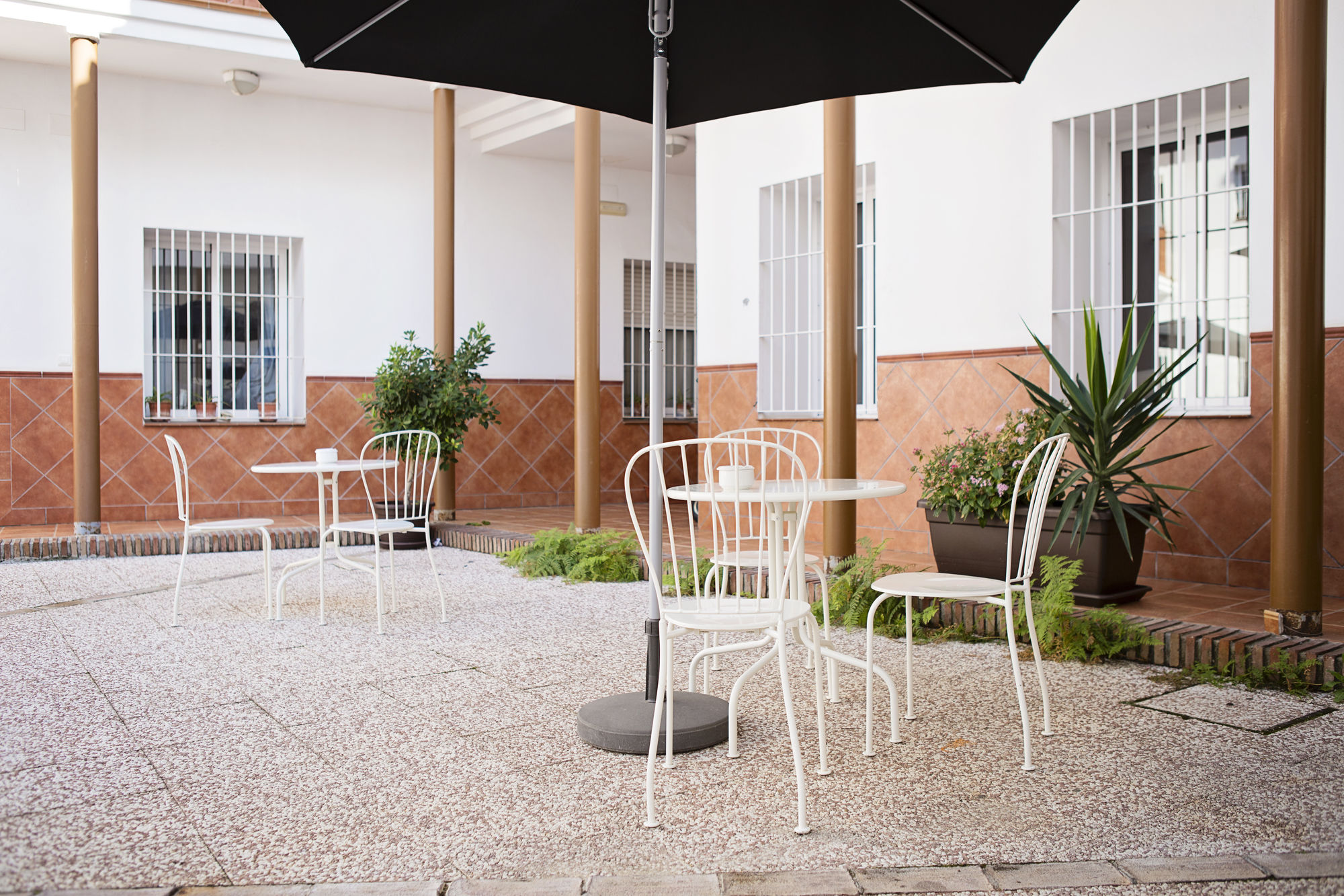 Фото Suncity Plaza Apartments