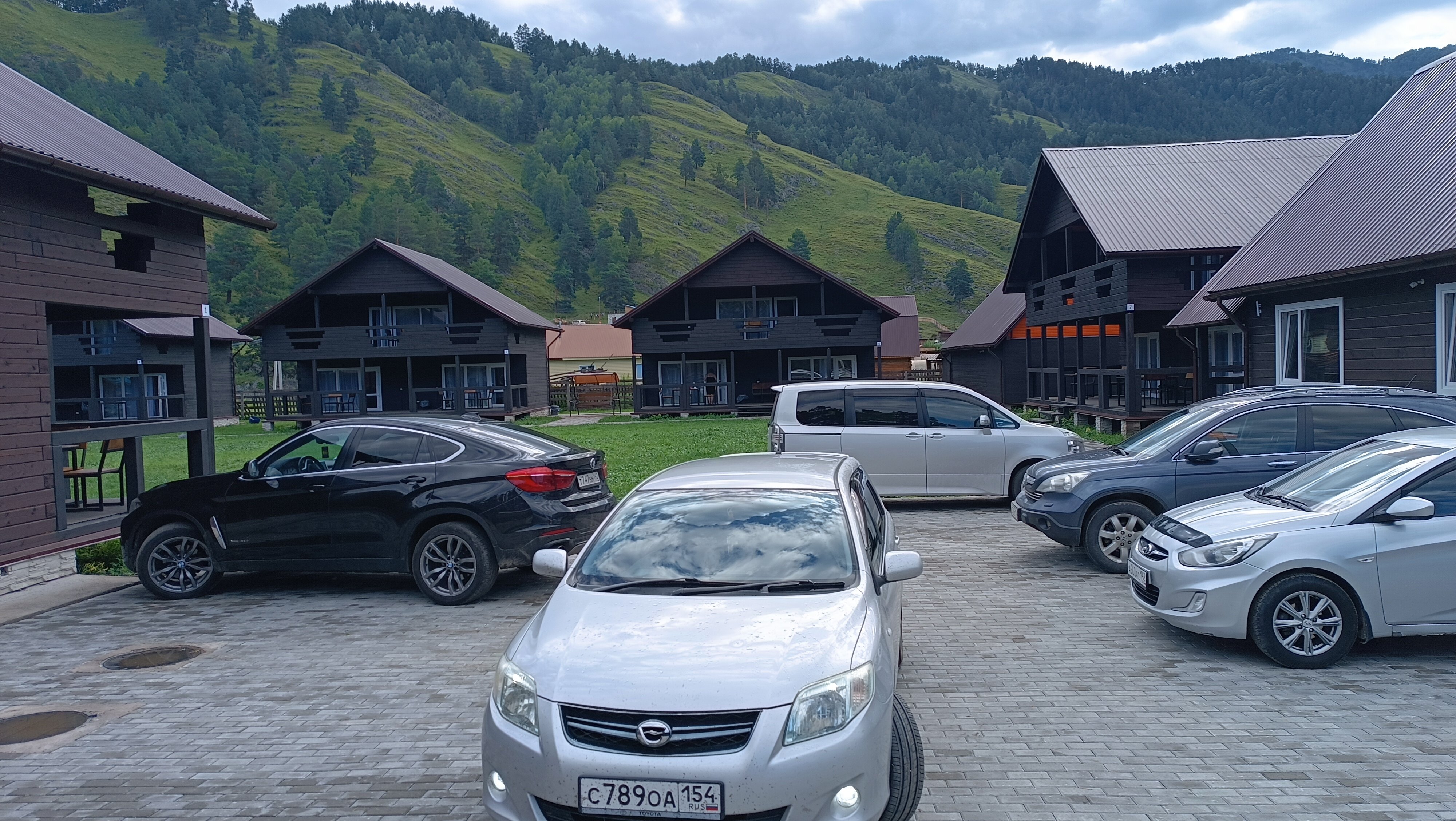 Фото Мамонт