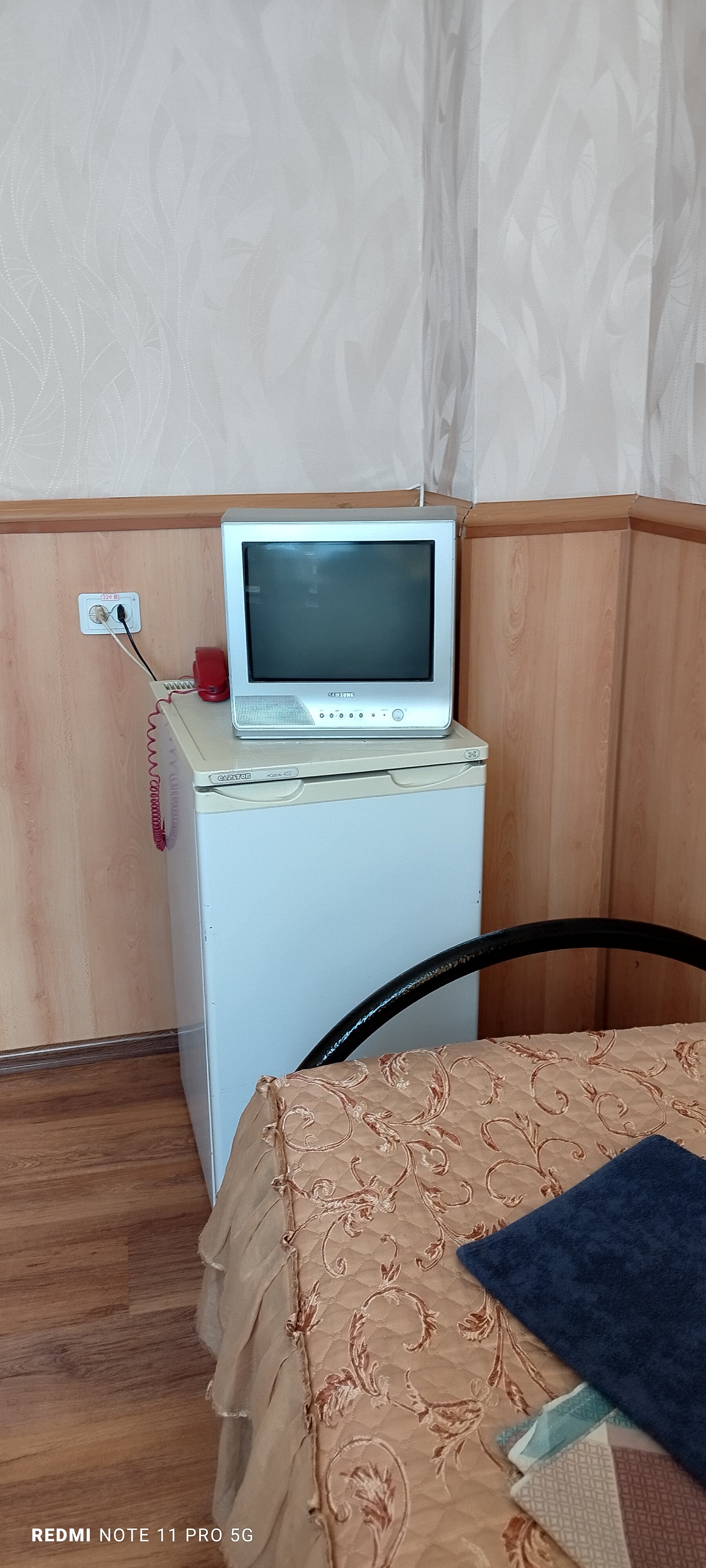 Фото Колосок