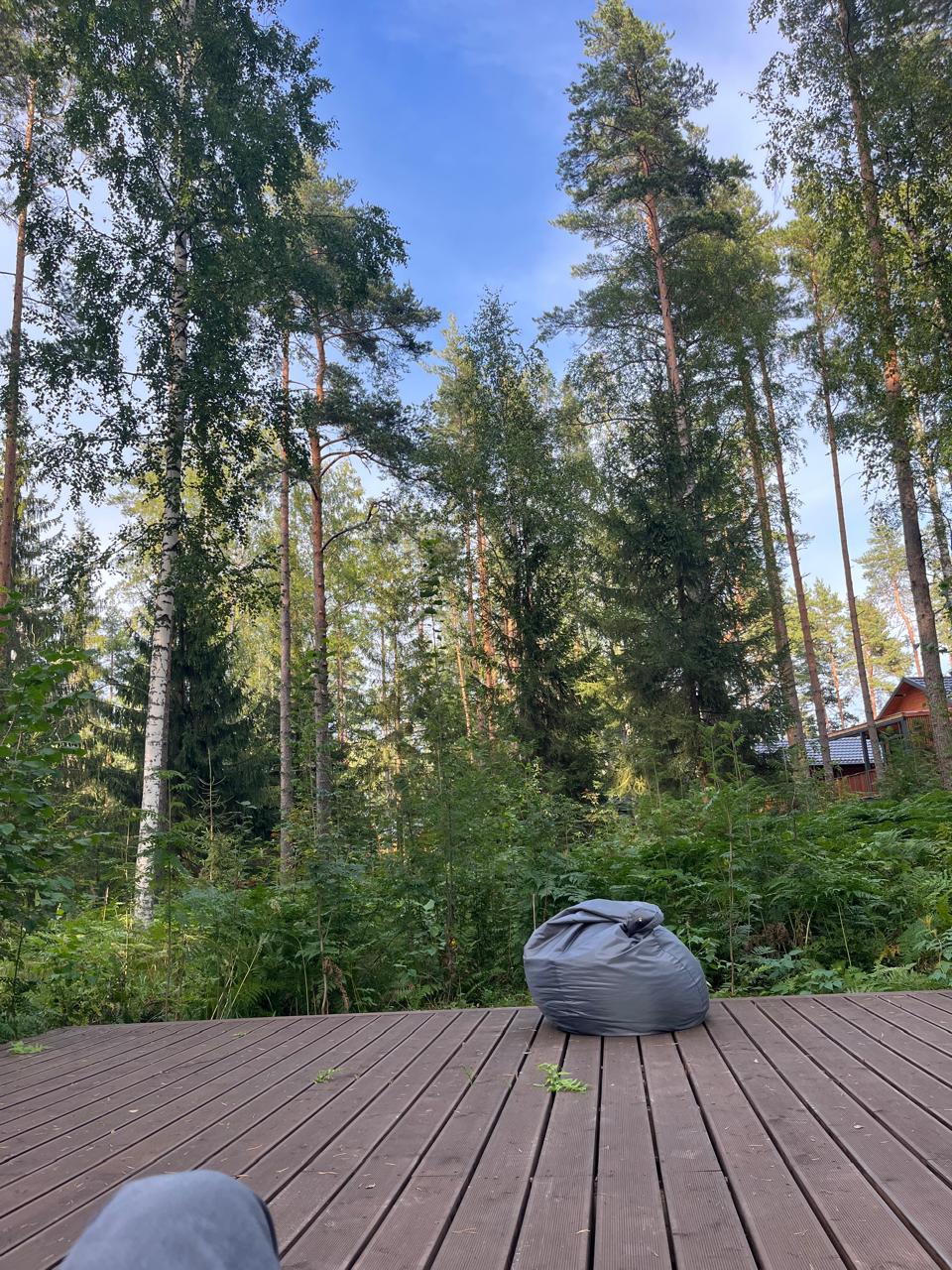 Фото Территория отдыха Лисички