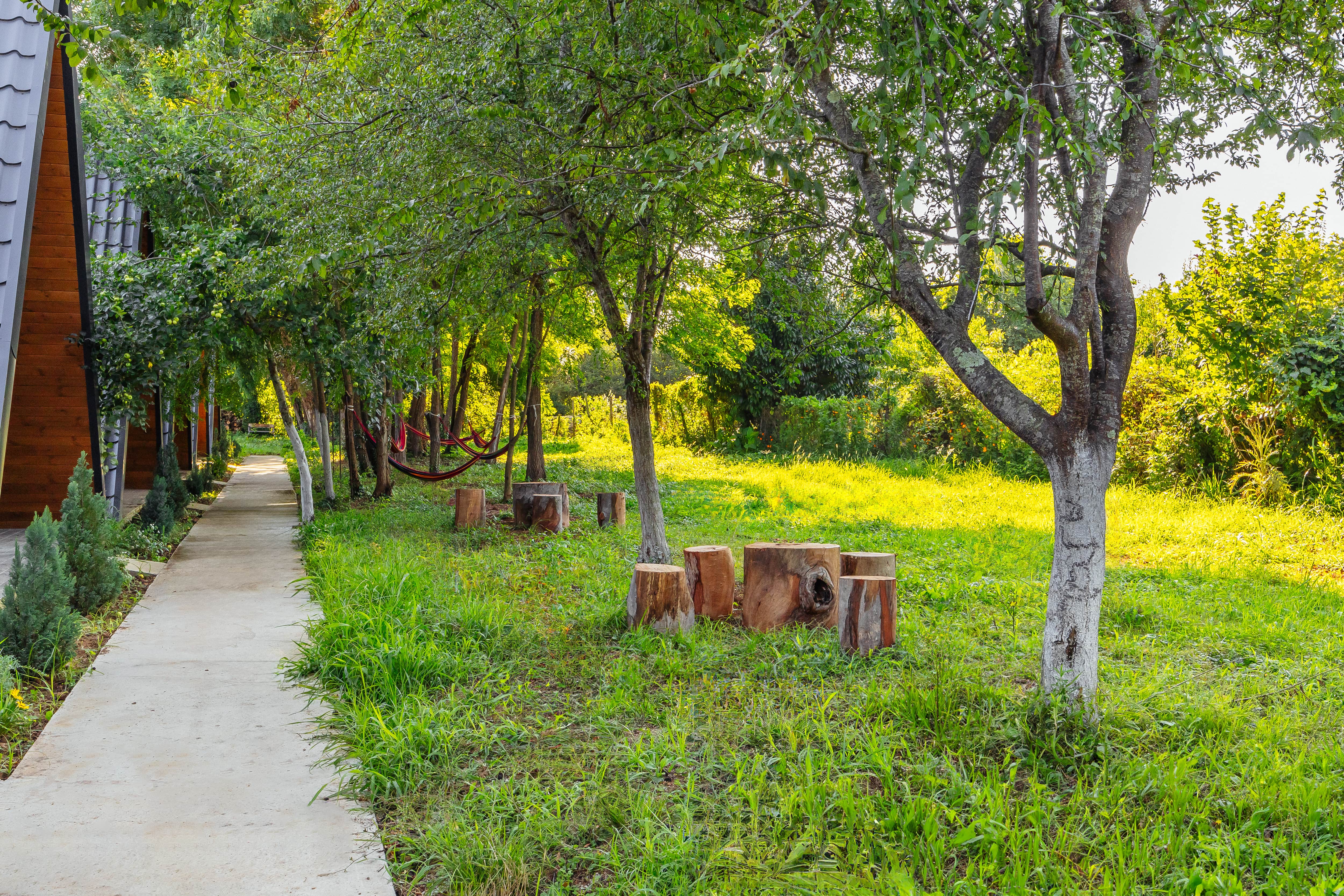 Фото Эко-коттеджи DiAlex