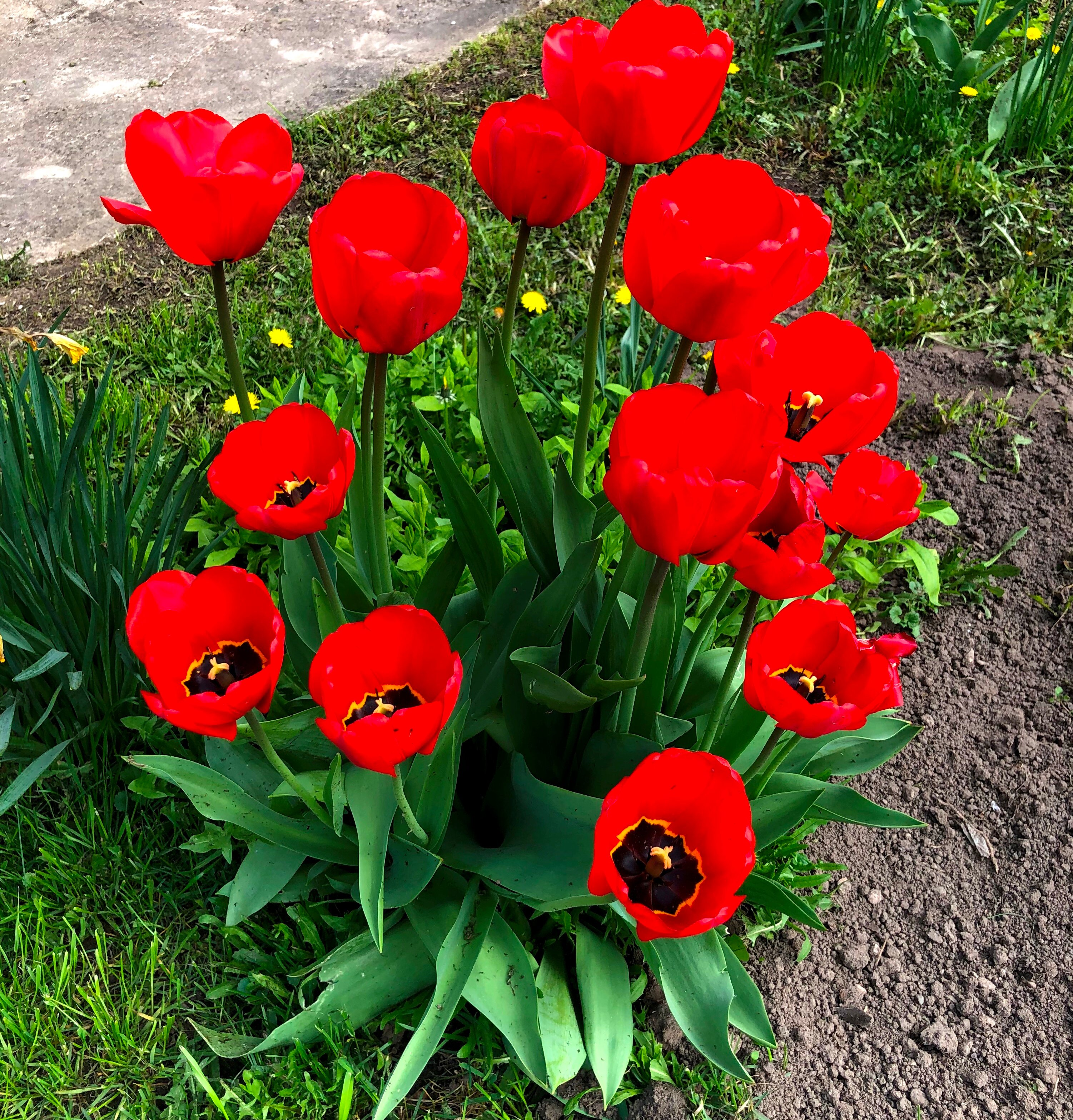 Фото Агроэкологический туристический комплекс Гостевой Домик