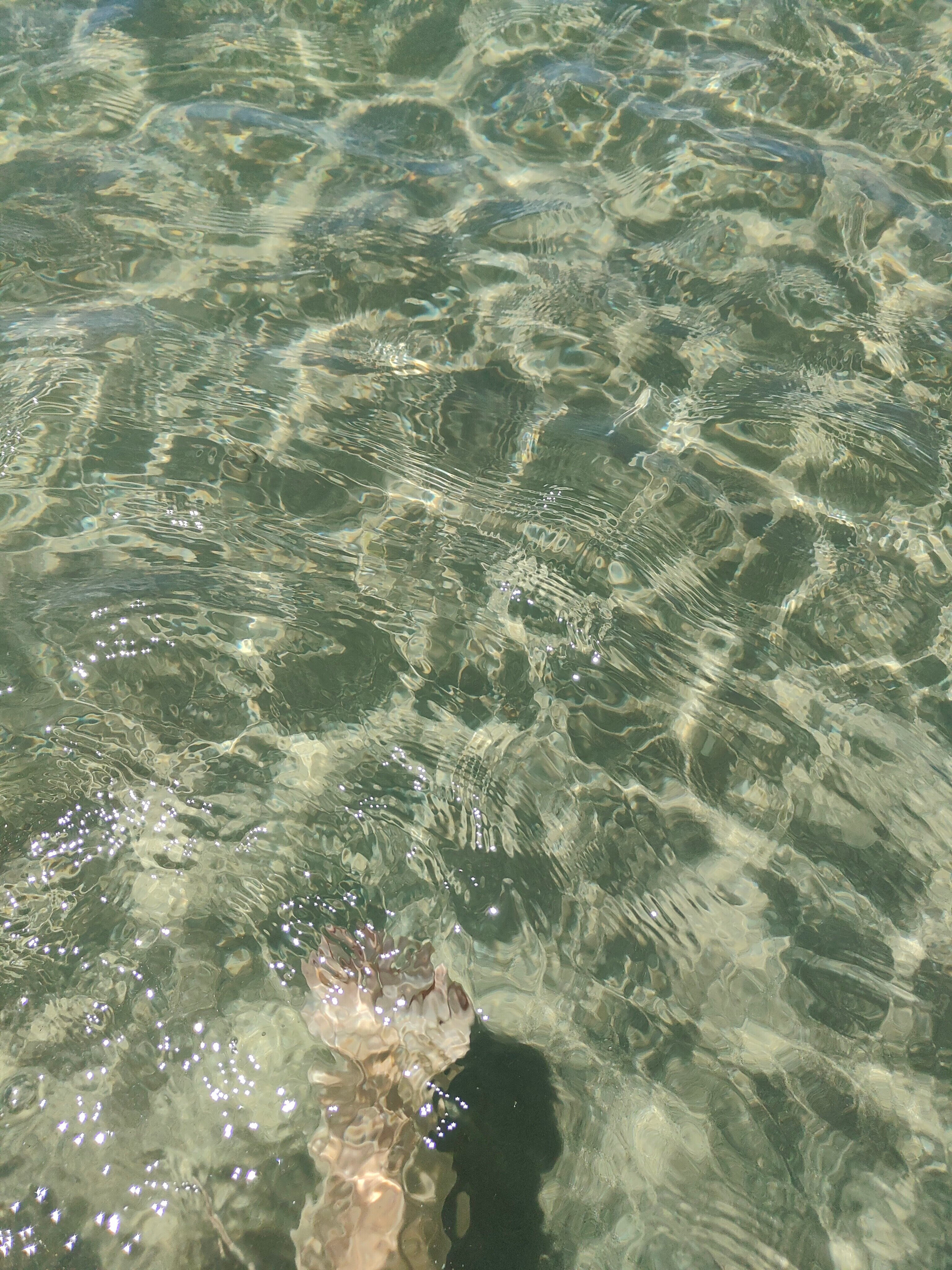 Фото Дружба