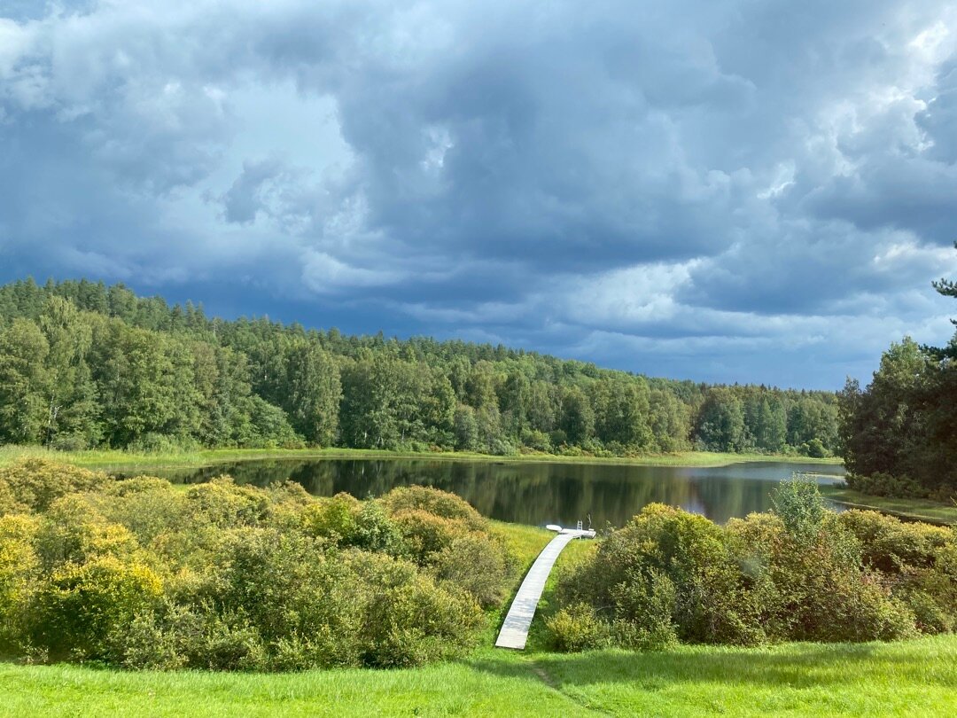 Фото Дом в лесу Холмово