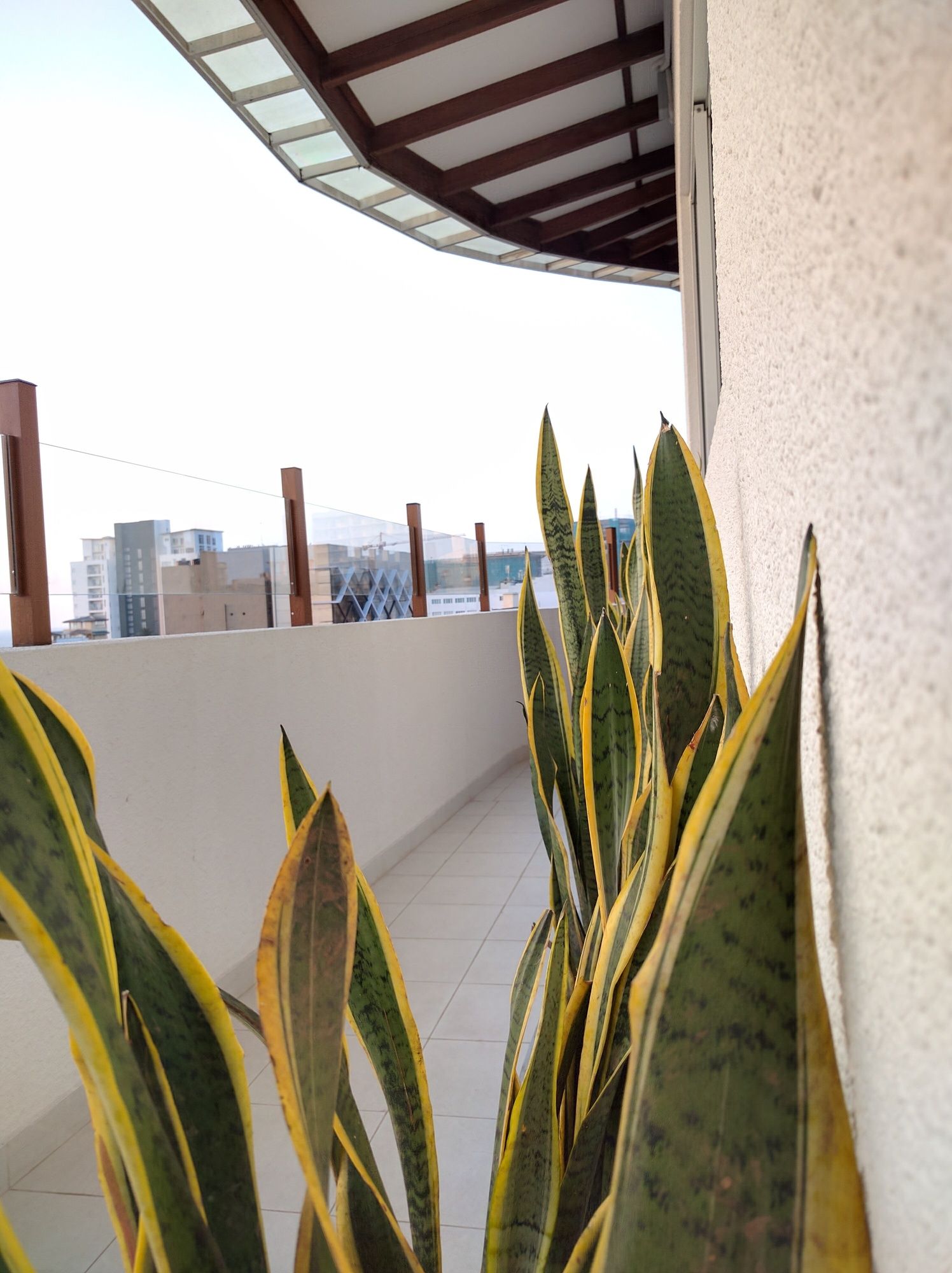 Фото The Residence