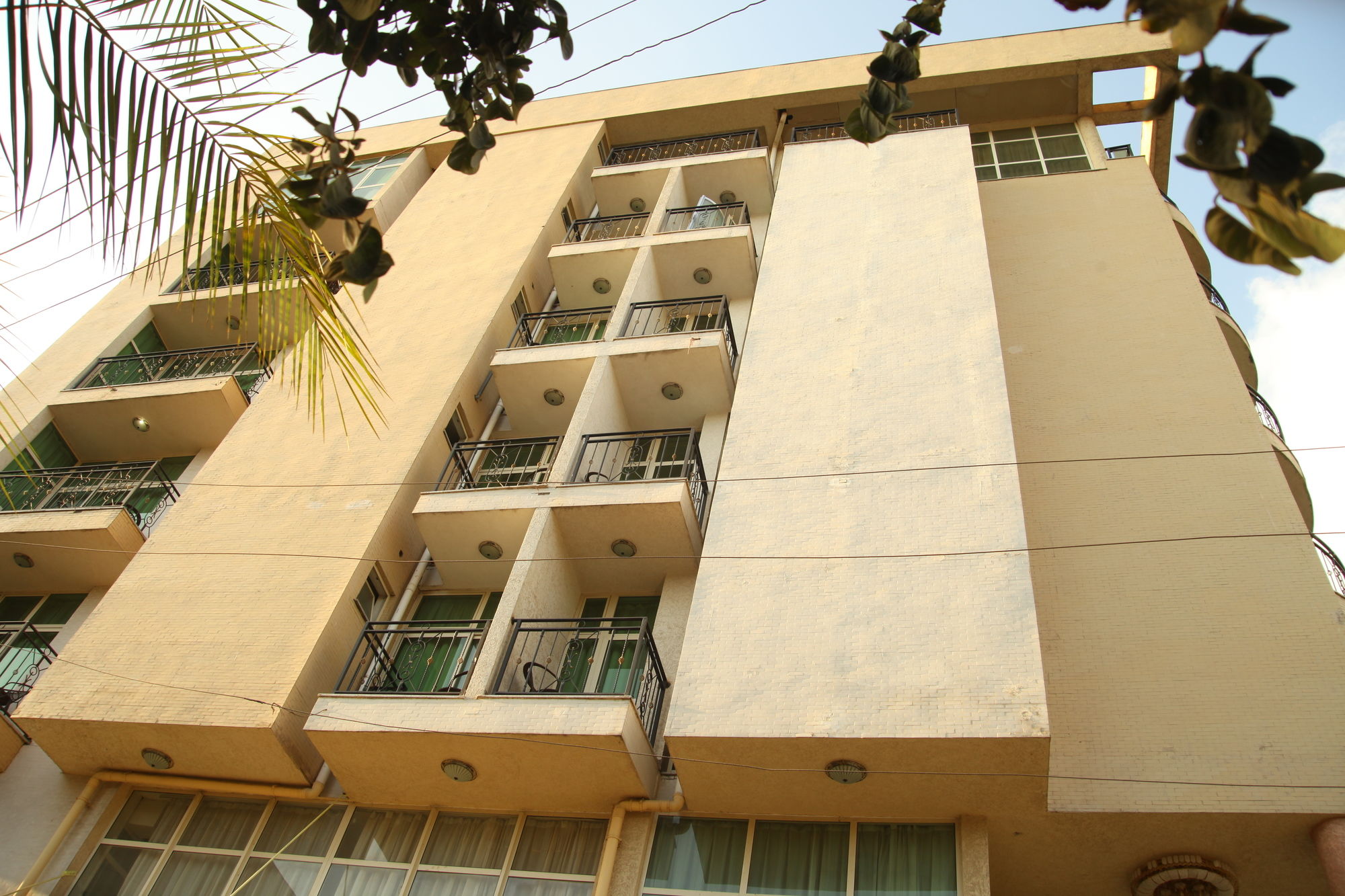 Фото Blue Birds International Hotel