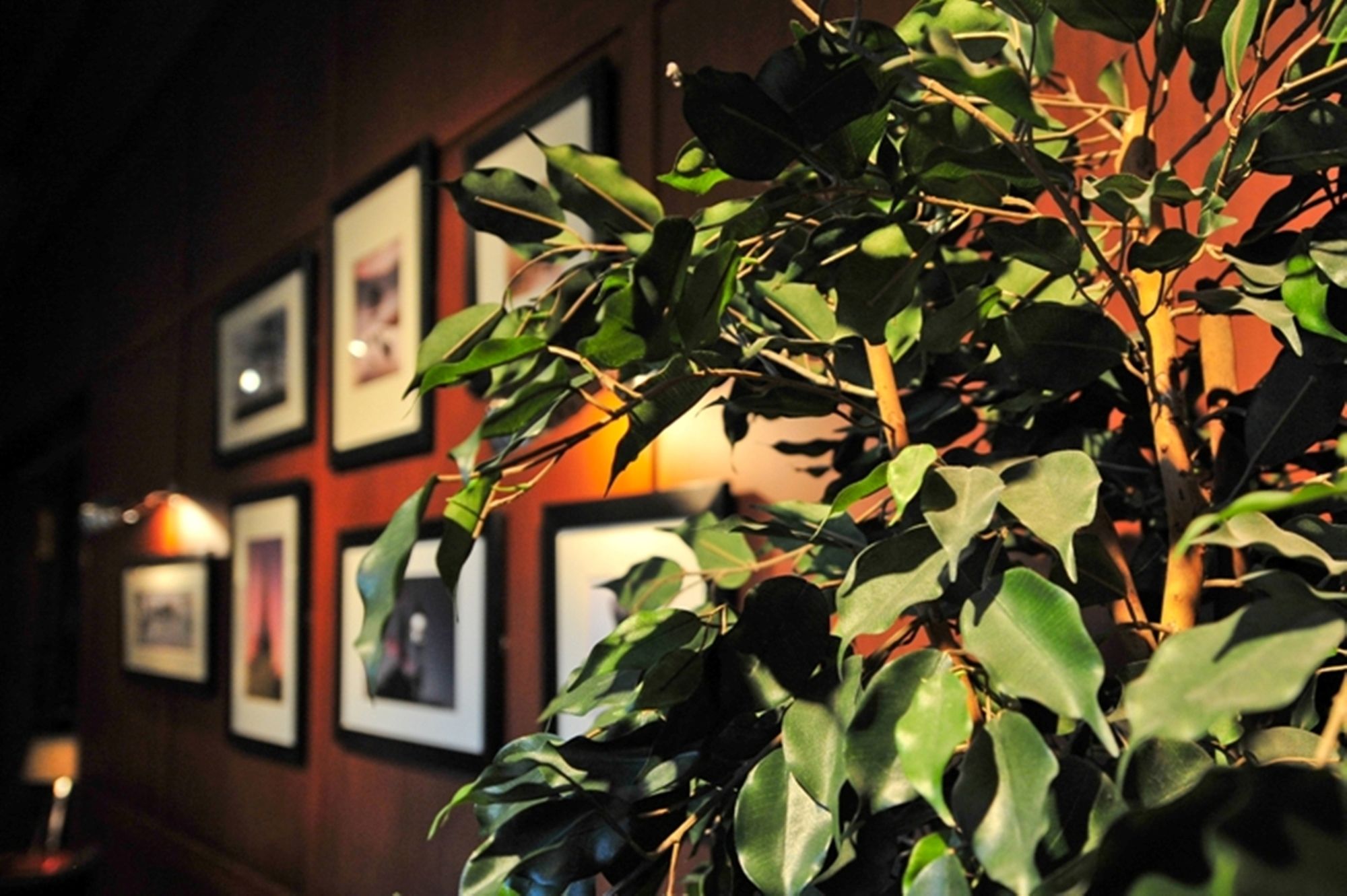 Фото Savoy Park Hotel