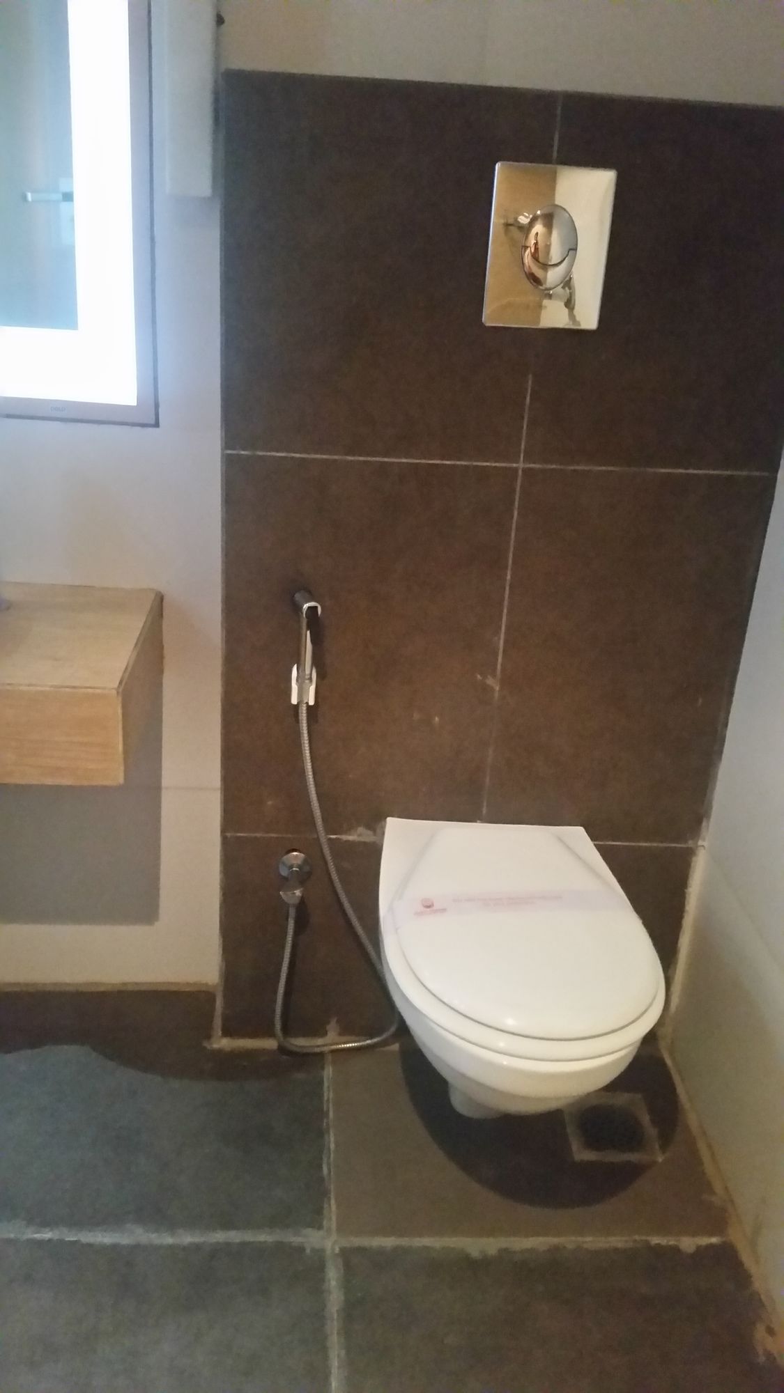 Фото Hotel Moti Mahal