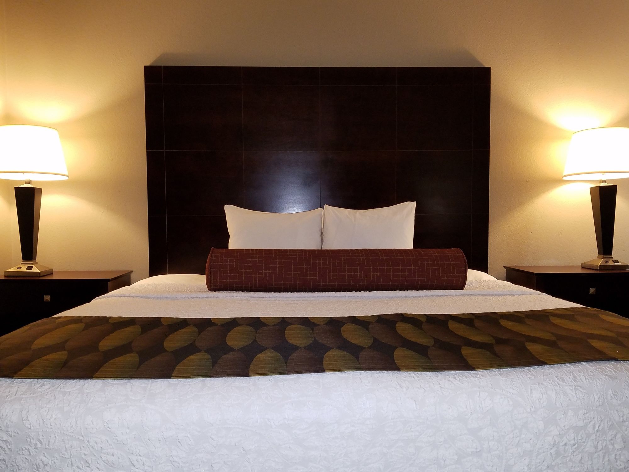 Фото Best Western Plus O'Hare International South Hotel