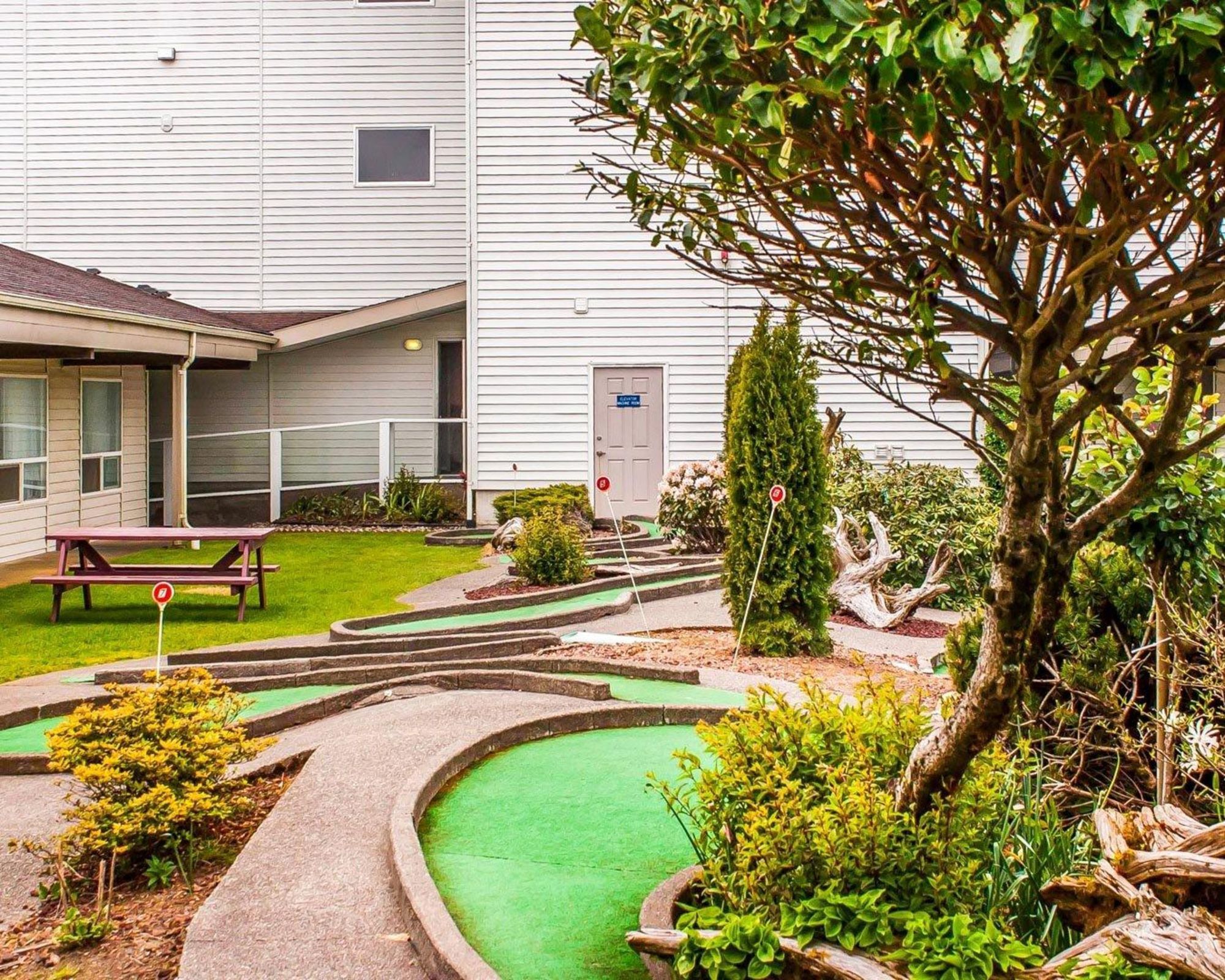 Фото отеля 5