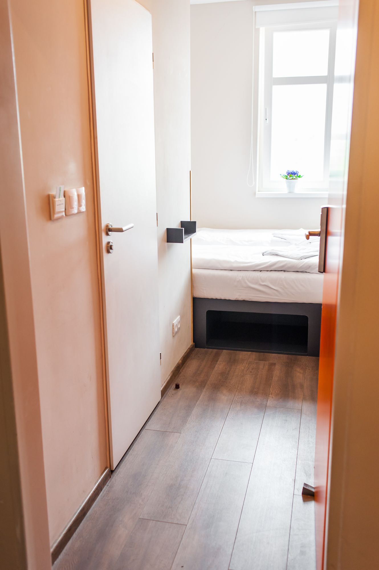 Фото 74096153929