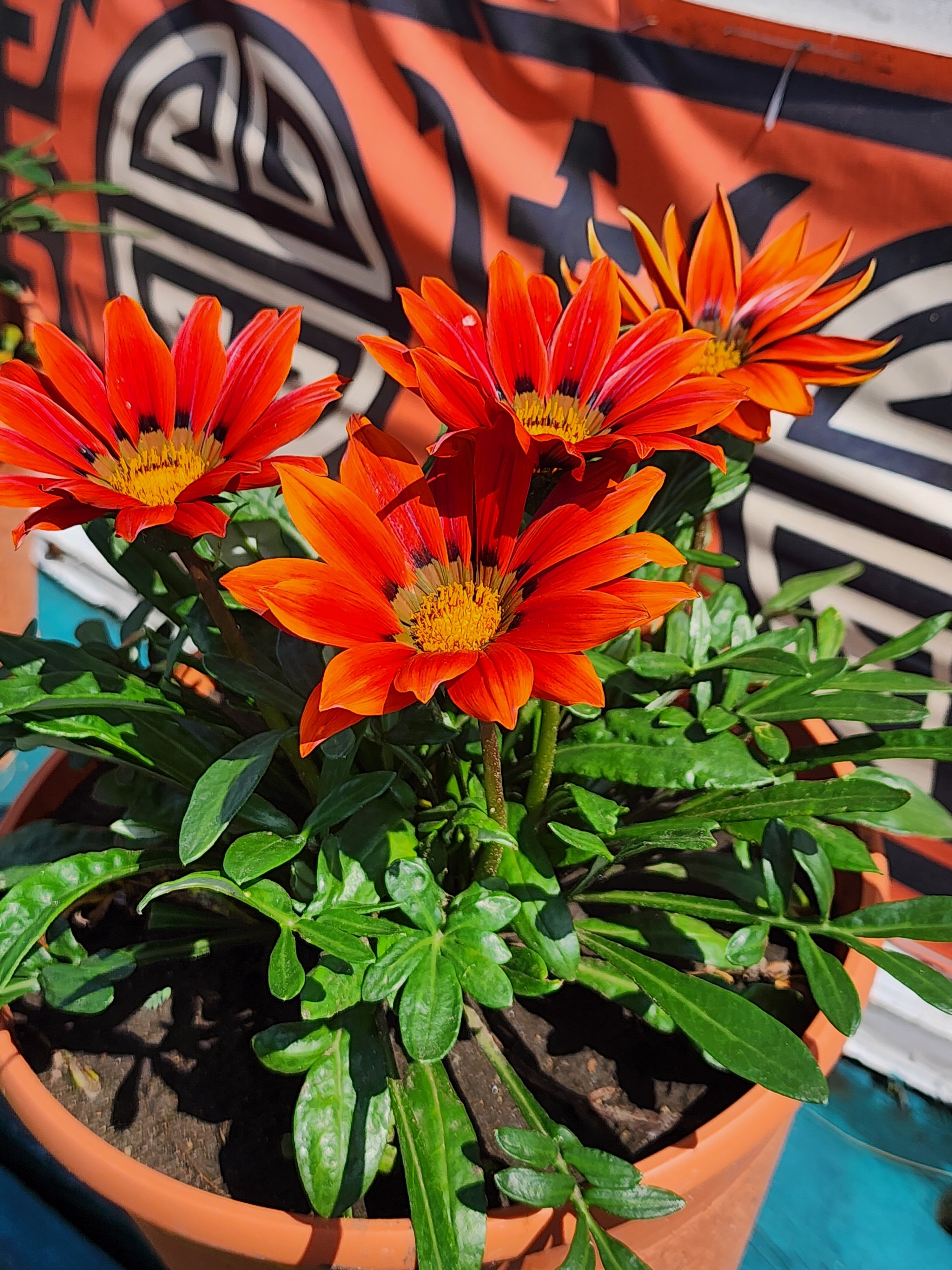 Фото Ноён-отель