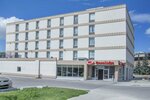 New Lodge (Notre Dame Avenue, 690), hotel