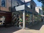Tioma shop (Tsentralniy Microdistrict, Moskovskaya Street, 11), children's clothing store