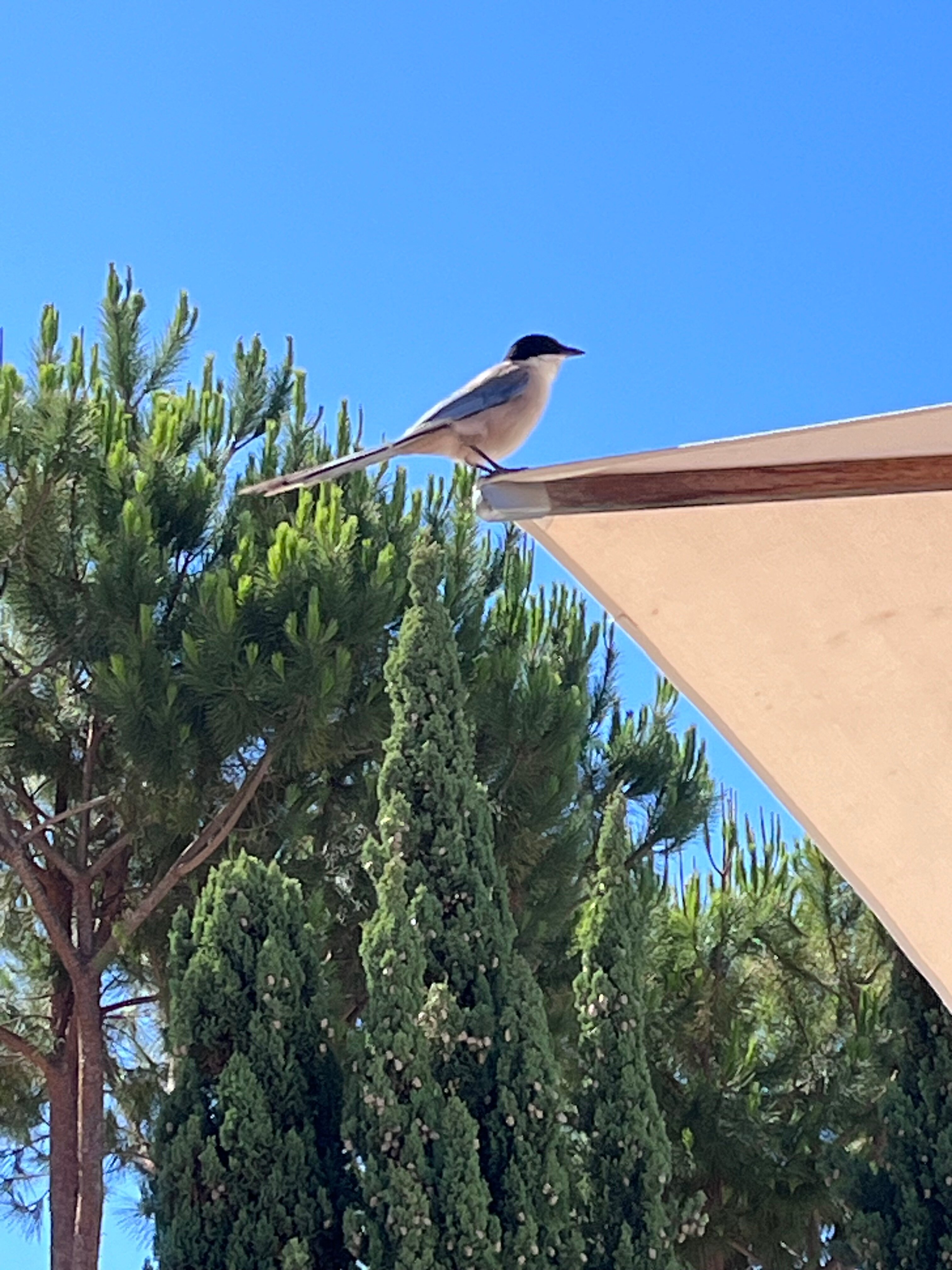 Фото Cascade Wellness Resort