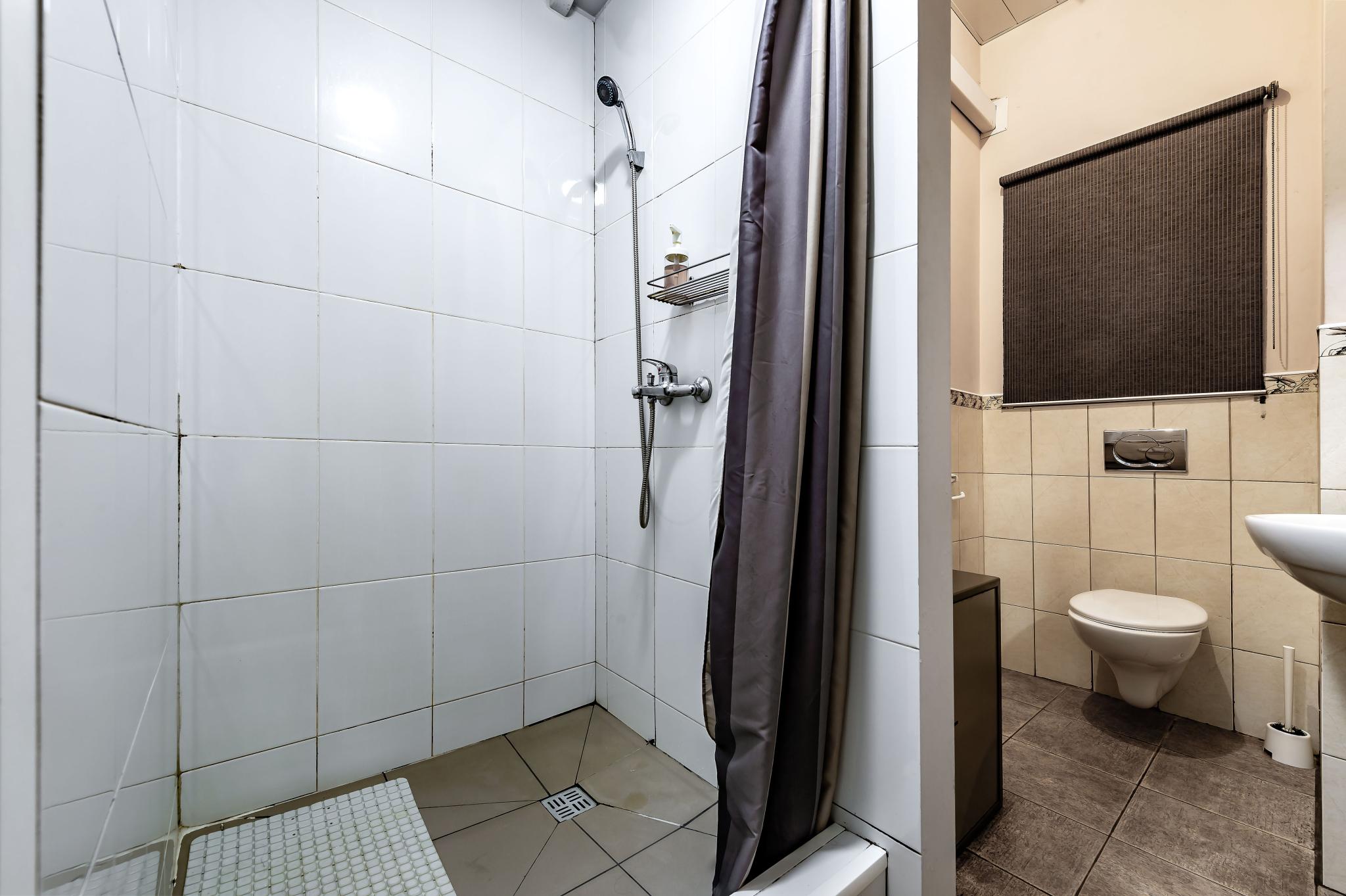 Фото Чайка на Фонтанке