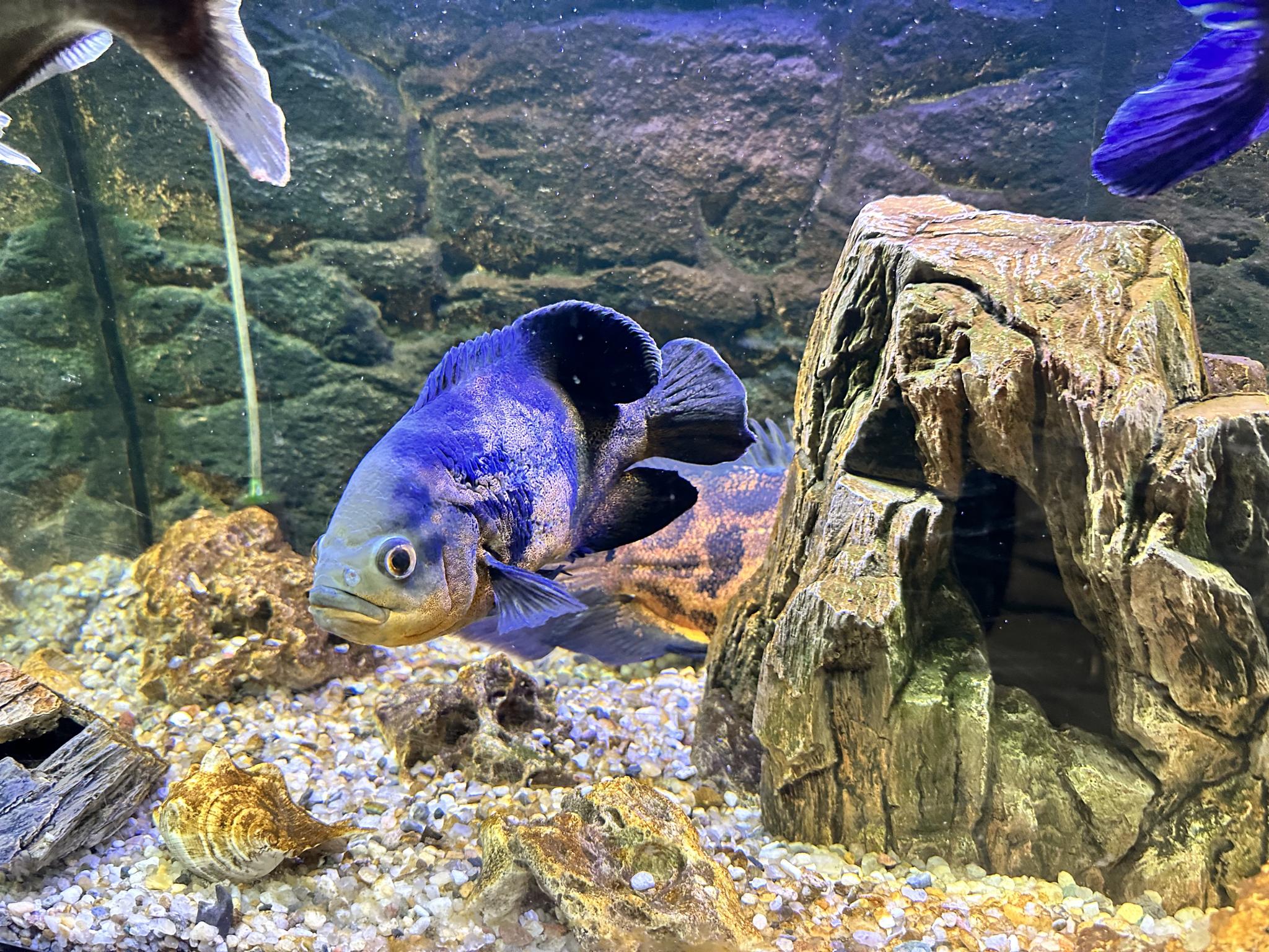 Фото Порт Внуково