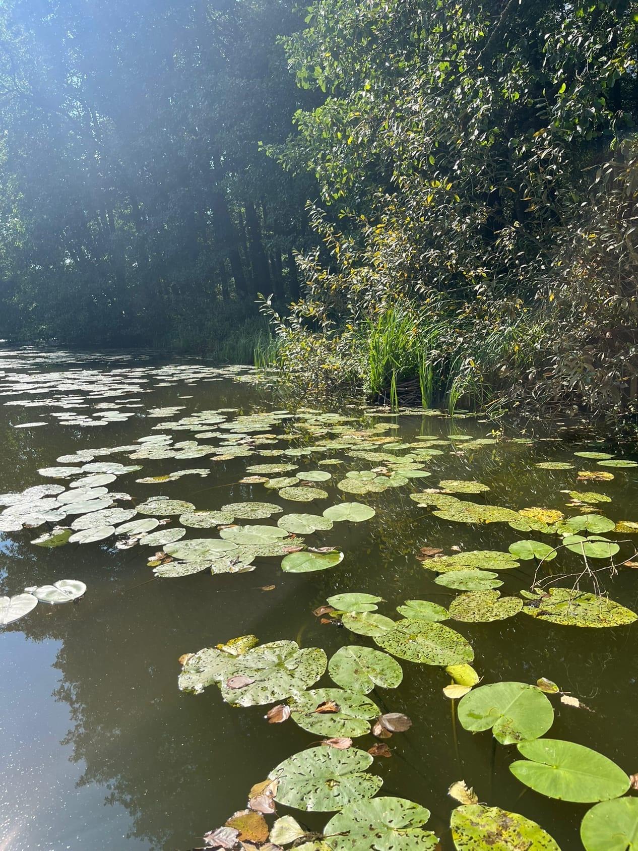 Фото Энергетик
