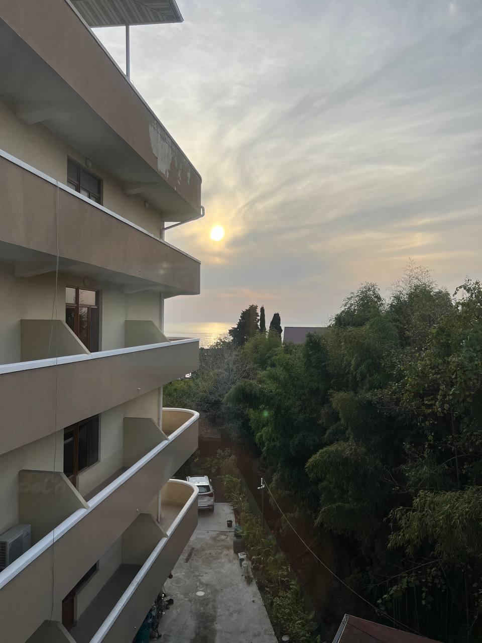 Фото Виолетта