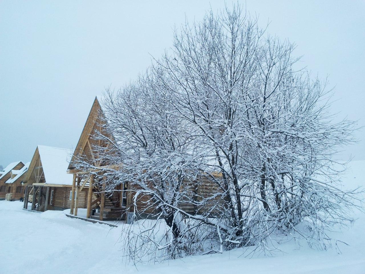 Фото Тайнинская слобода