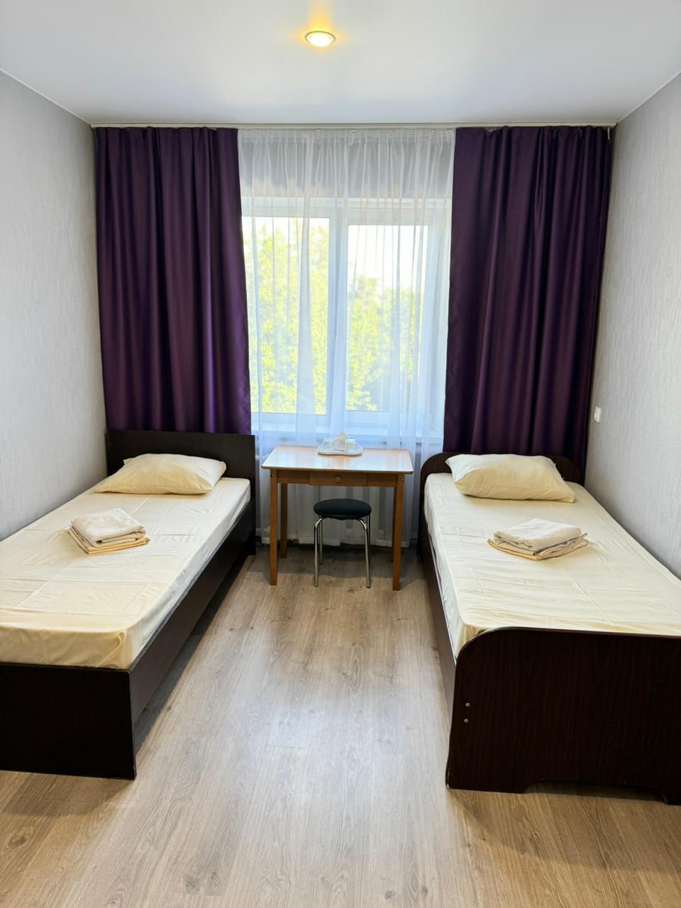 Фото Каштан