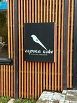 Soroka coffee (Moskovskaya ulitsa, 51), coffee shop