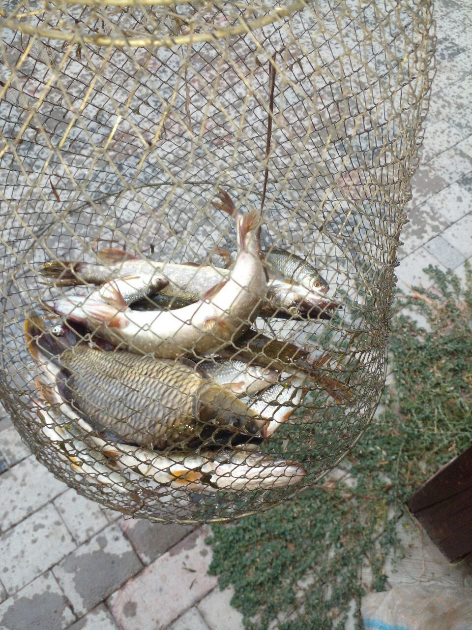 Фото У Реки