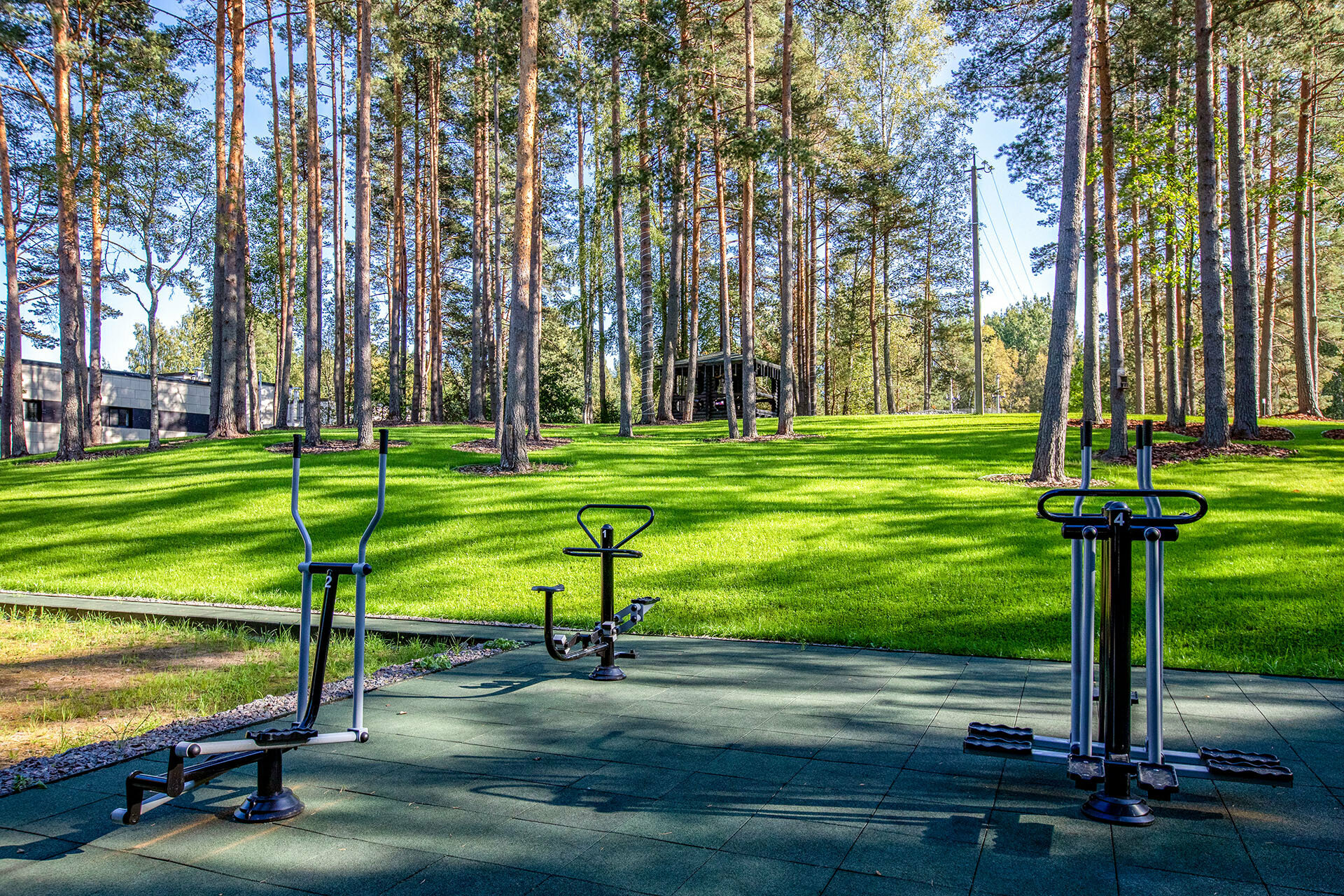 Фото Тюрьма для жира