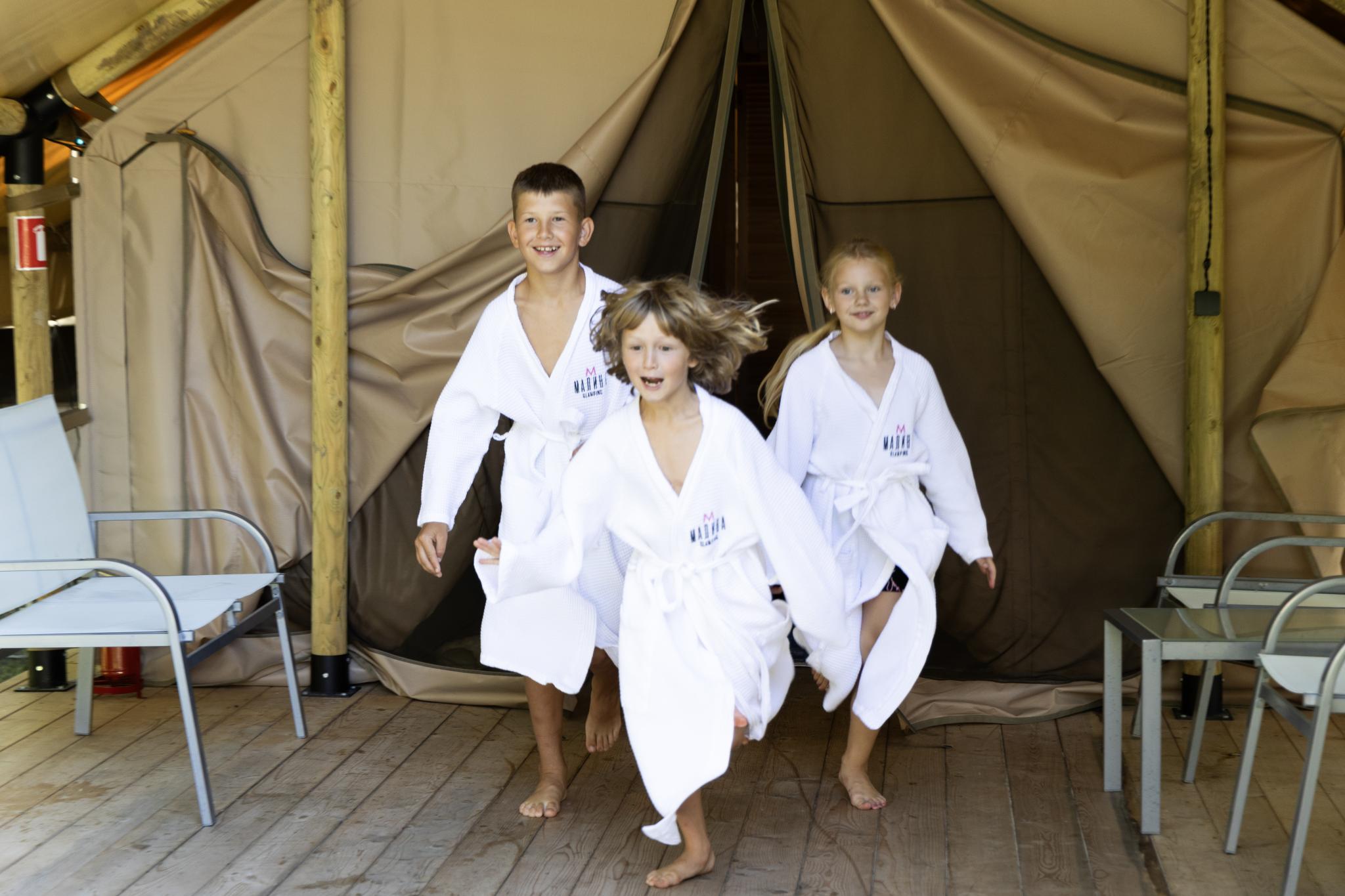 Фото Малина