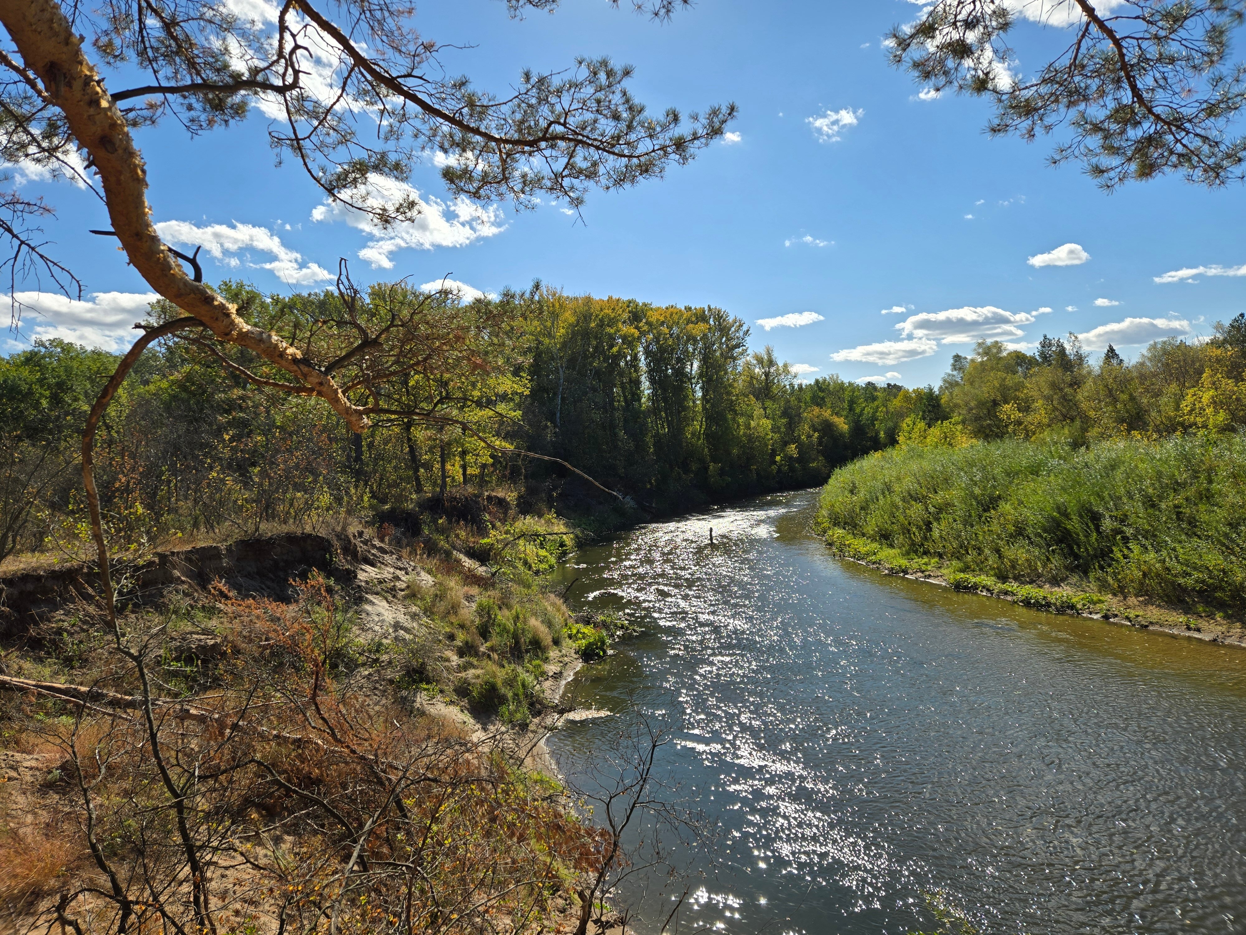 Фото ФорРест