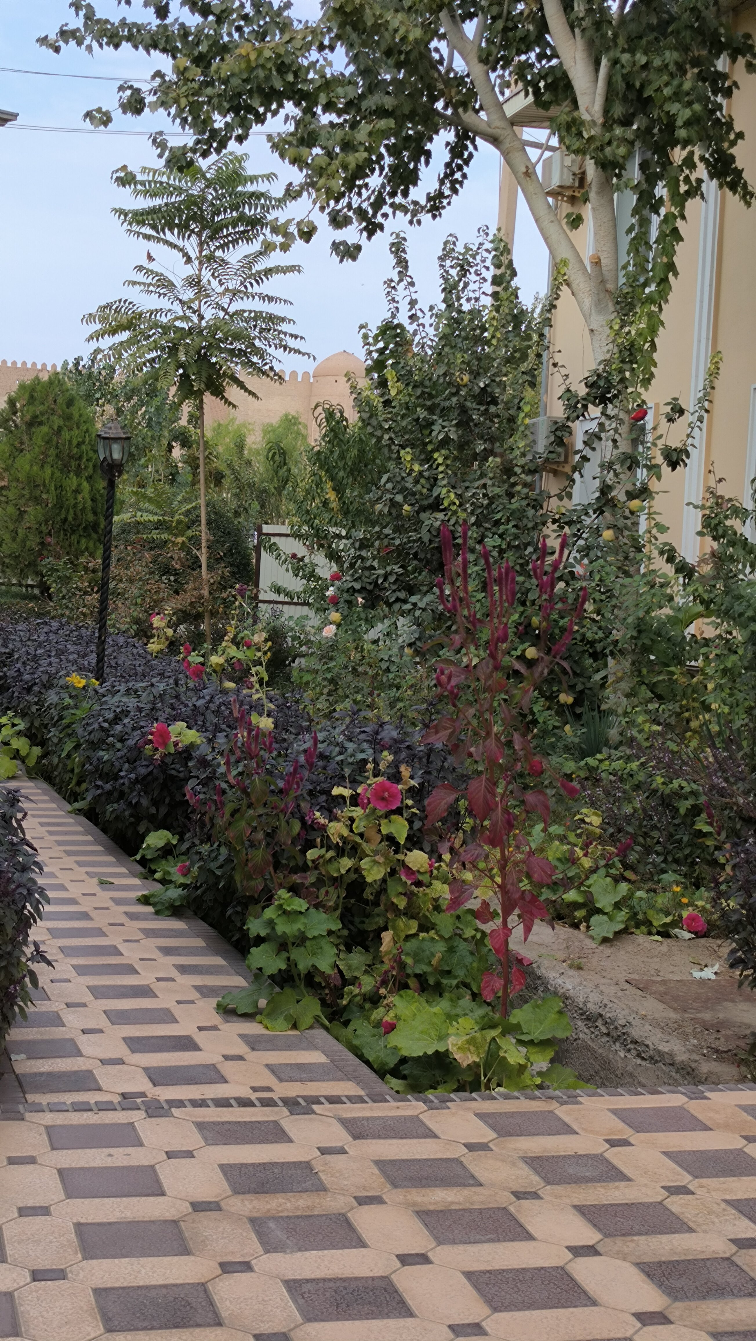 Фото Отель Asia Khiva