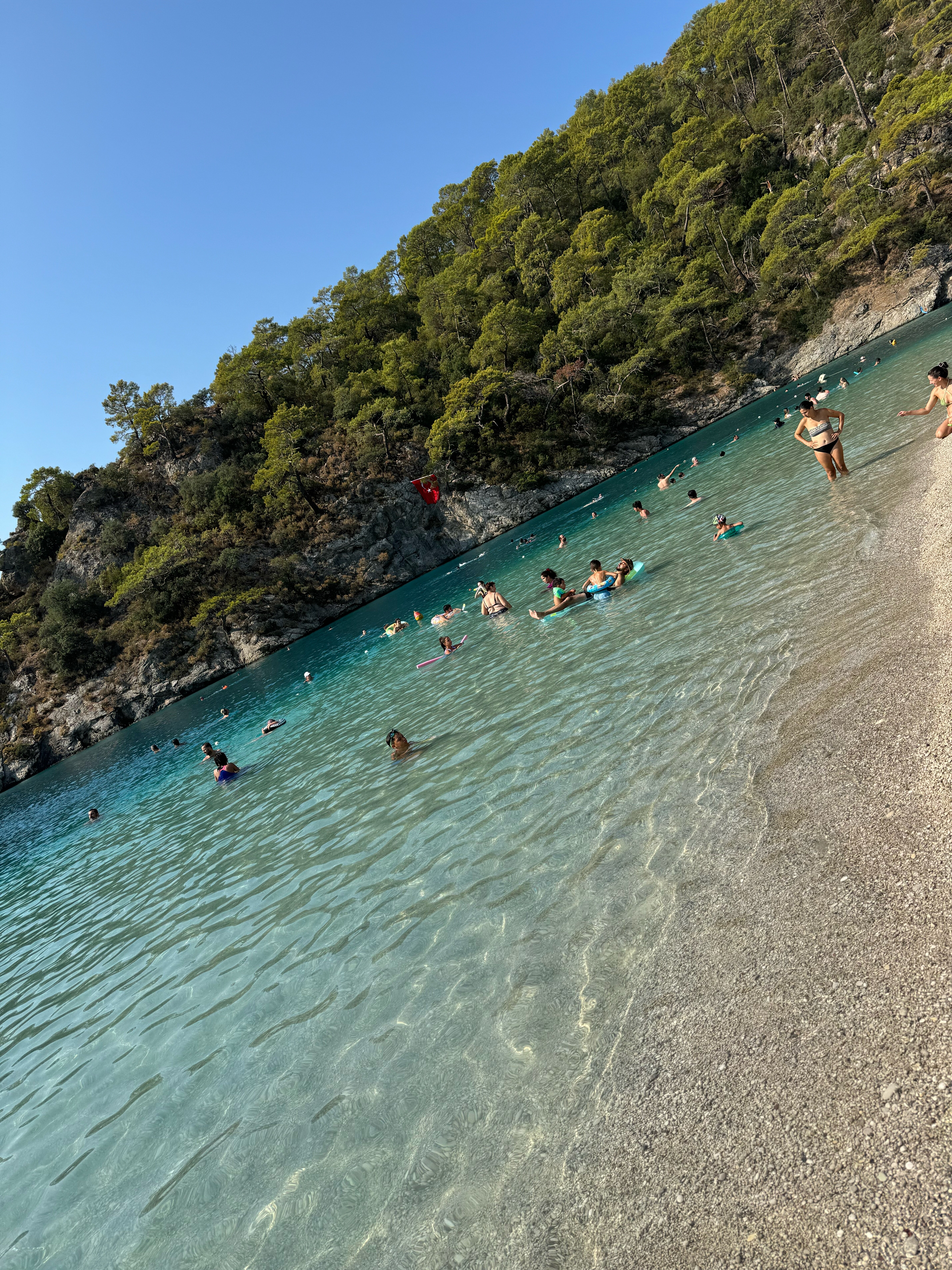 Фото Orka Cove Hotel