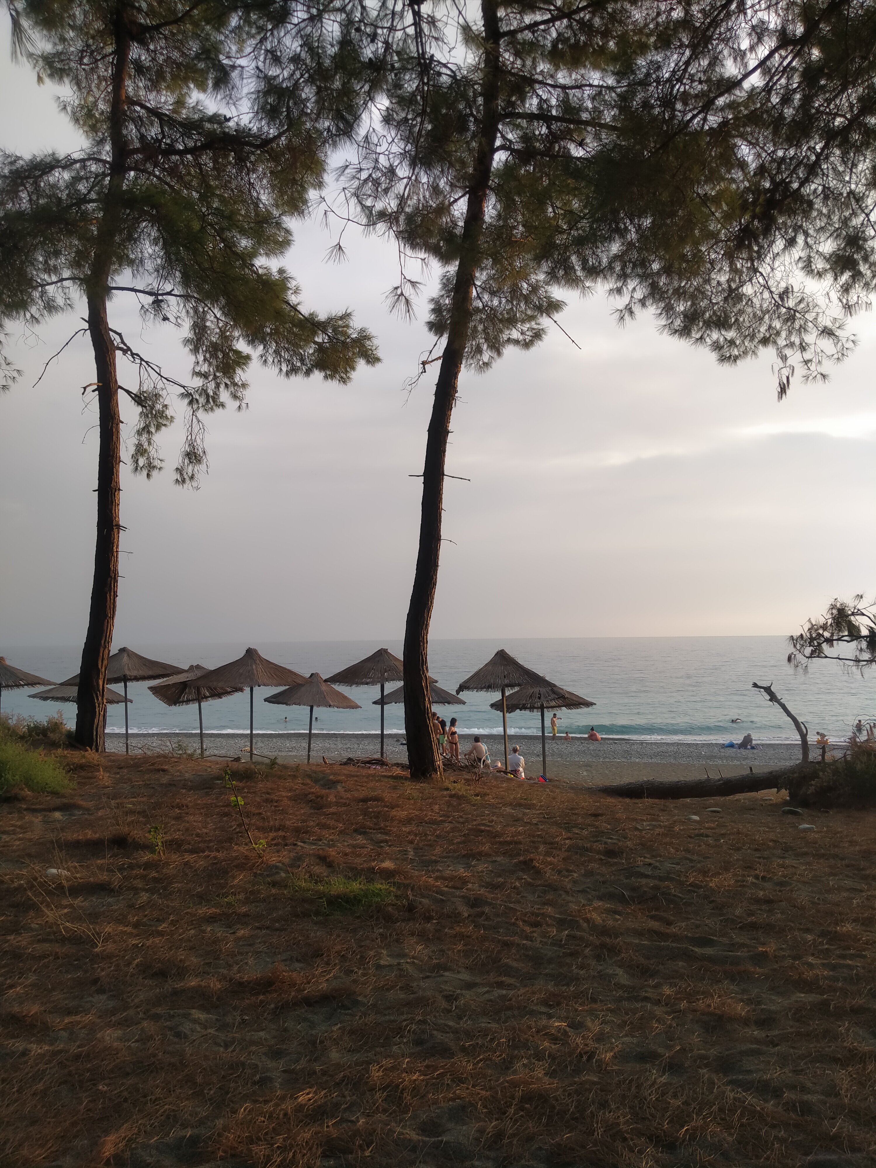 Фото 18755341514