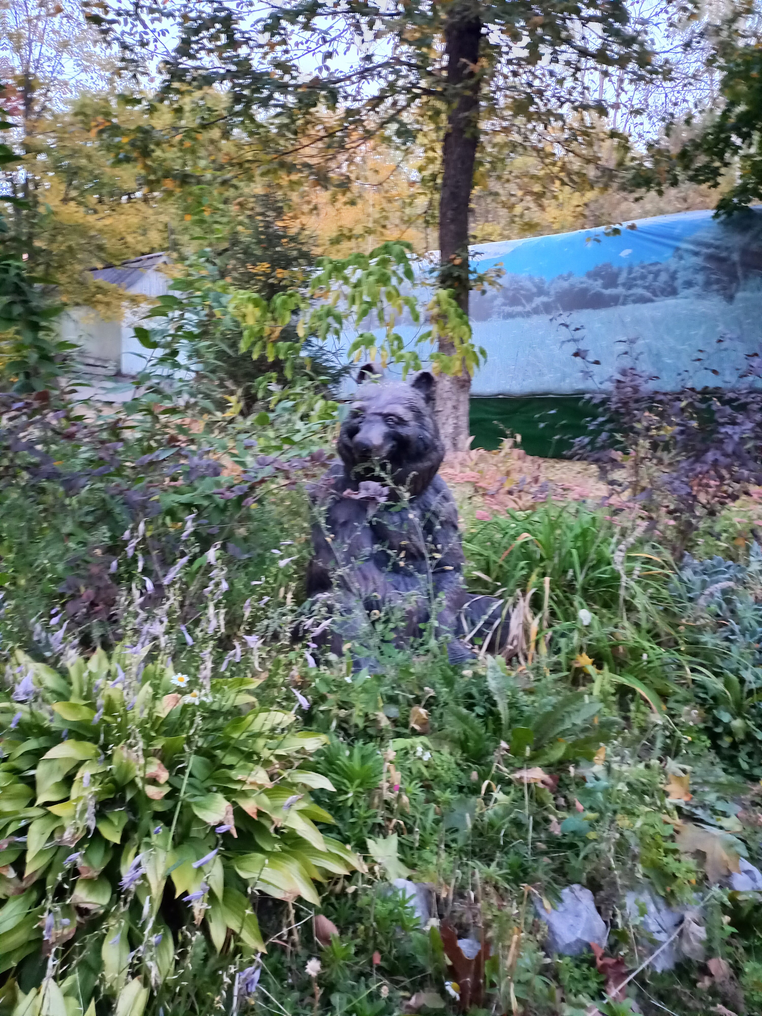 Фото Немецкая Слобода