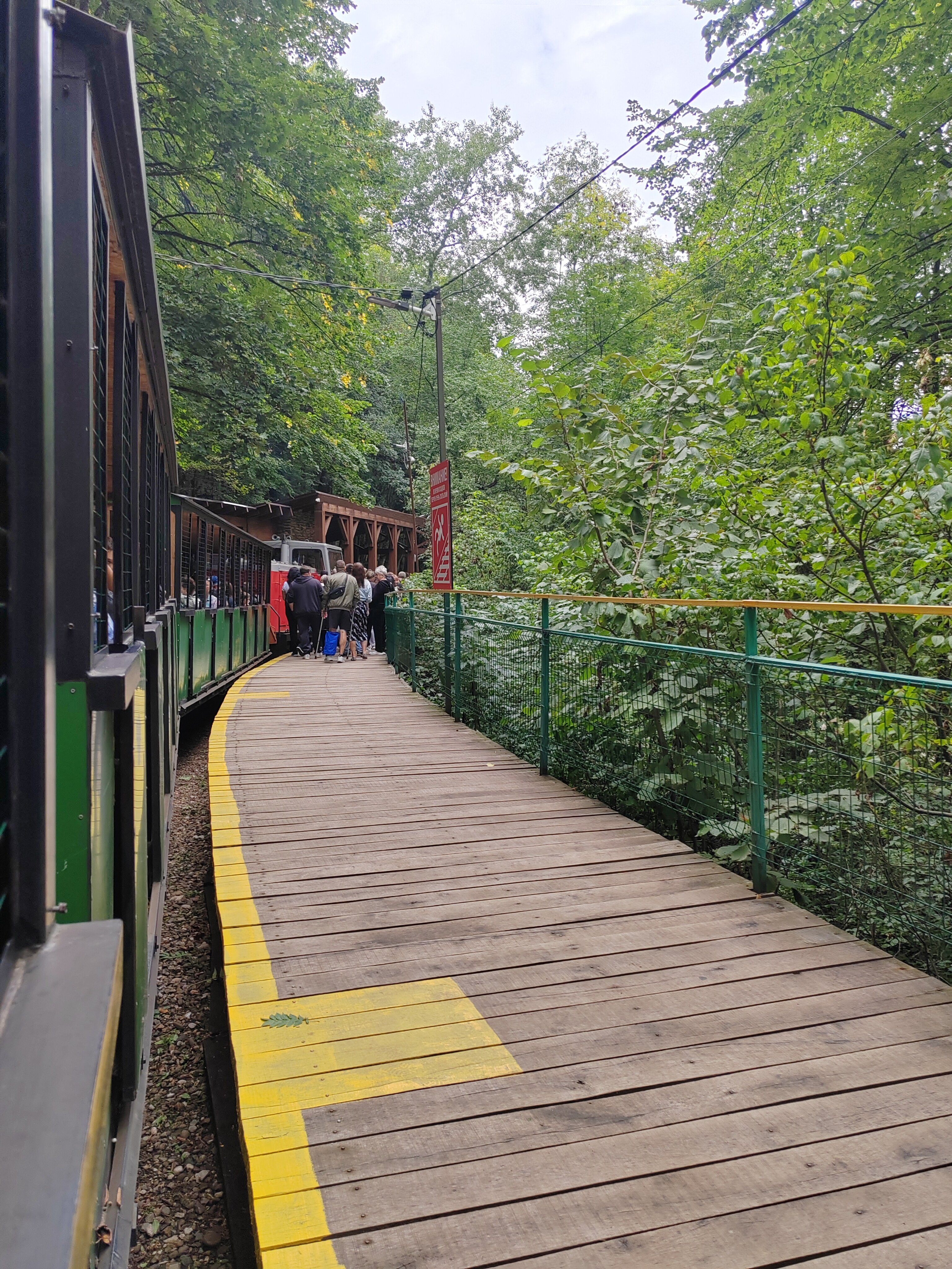 Фото Вероника