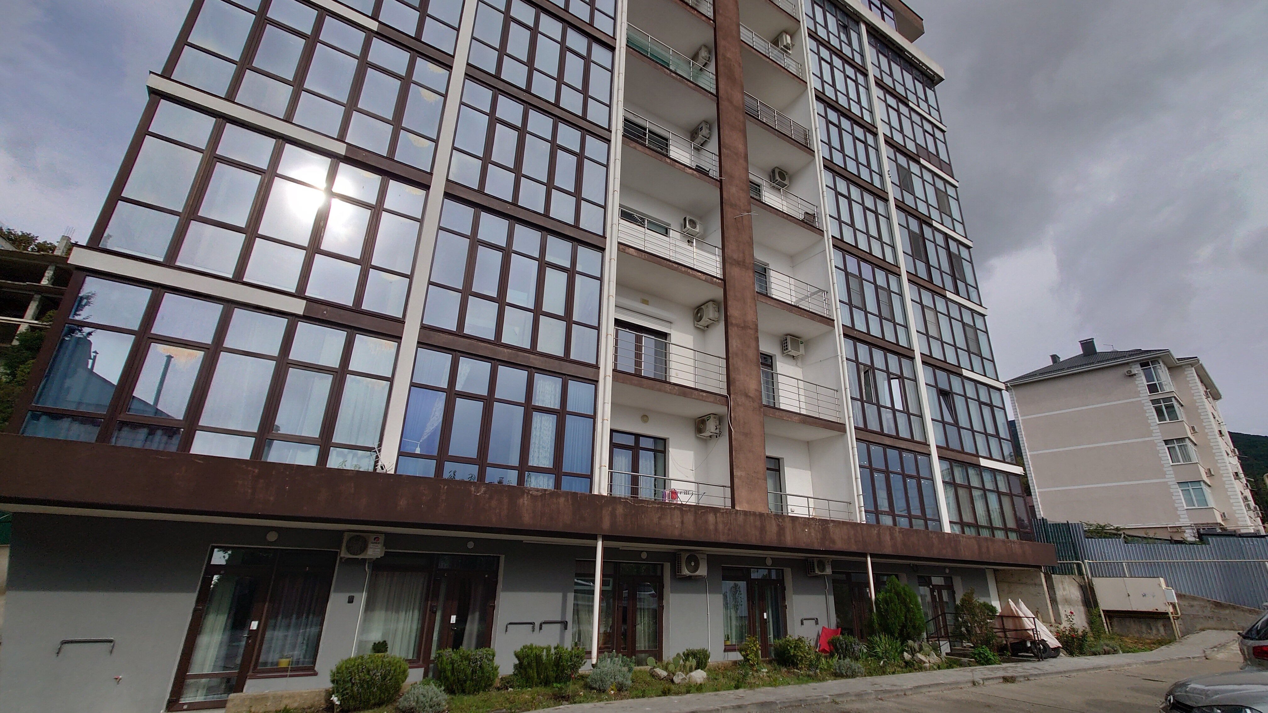 Фото Рапана